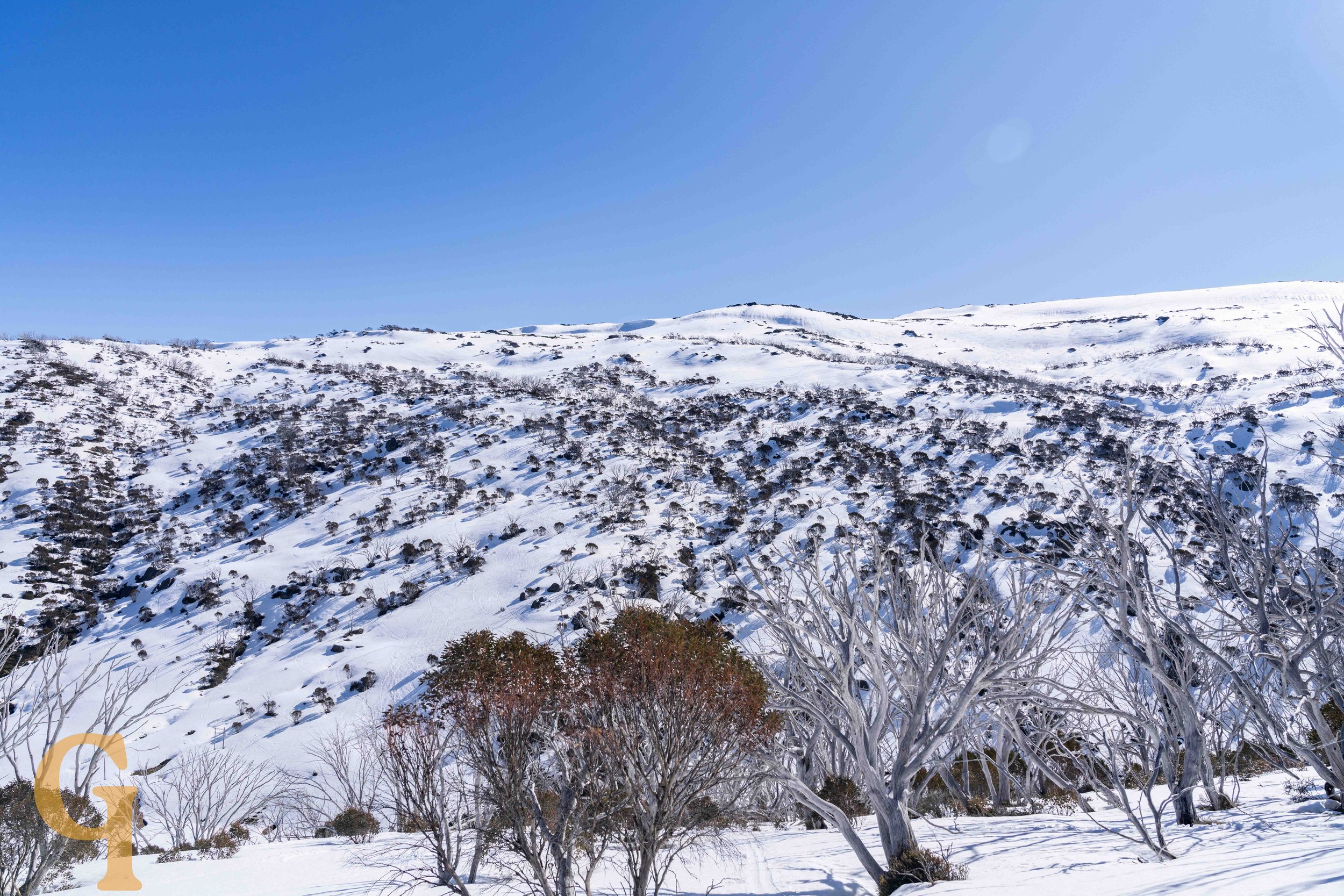 Snow-covered mountain landscape with sparse trees and clear blue sky.