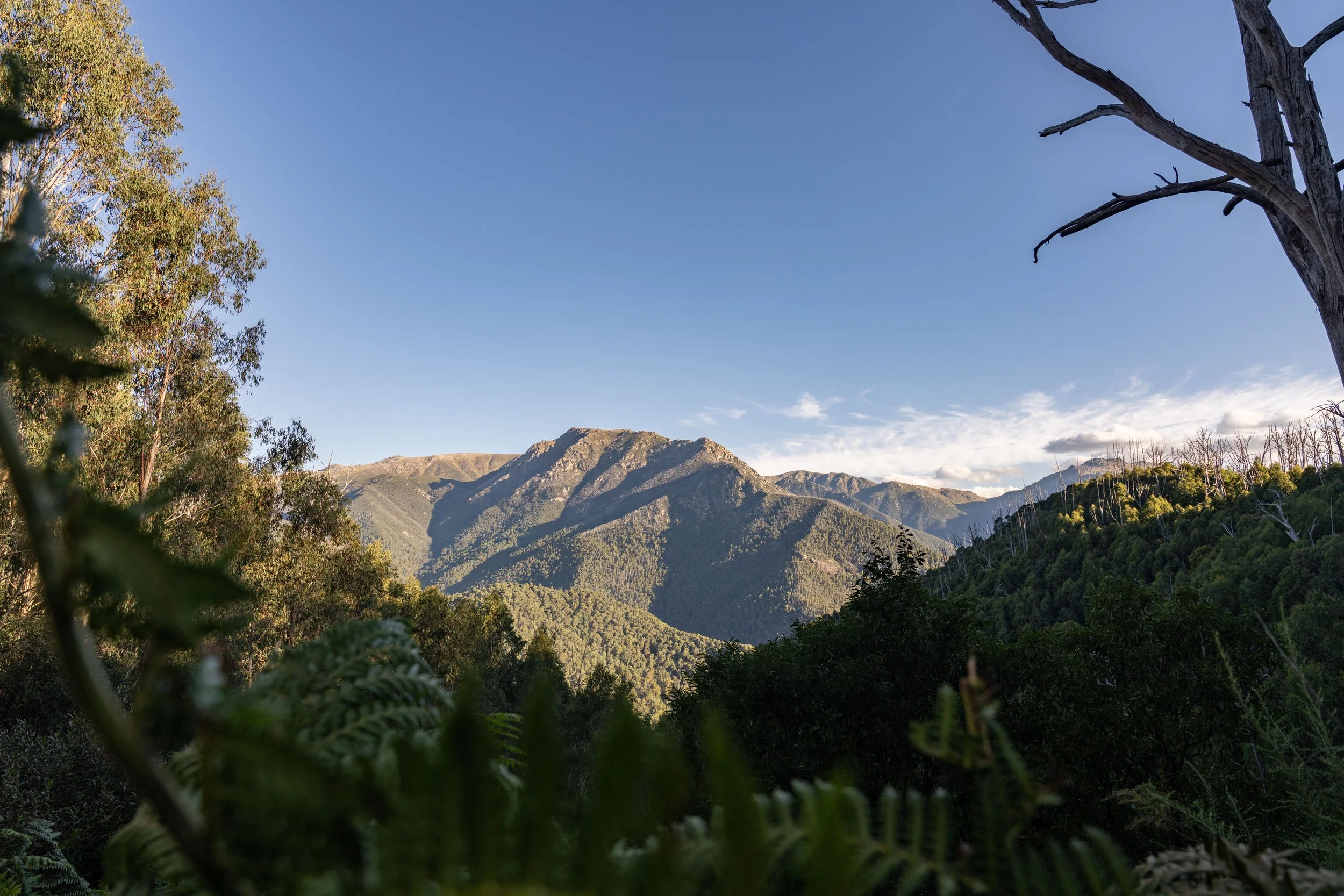 A rugged mountain within the Snowy Mountains in summer is bathed in sunshine, featuring the steep and remote mountain. Captured by photographer Ian Grant. 