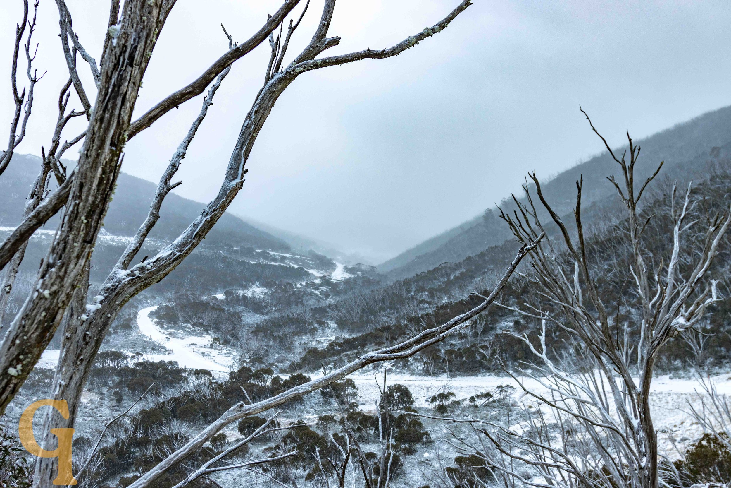 Snow-covered mountain valley with leafless trees in the foreground and foggy, snow-dusted hills in the background.
