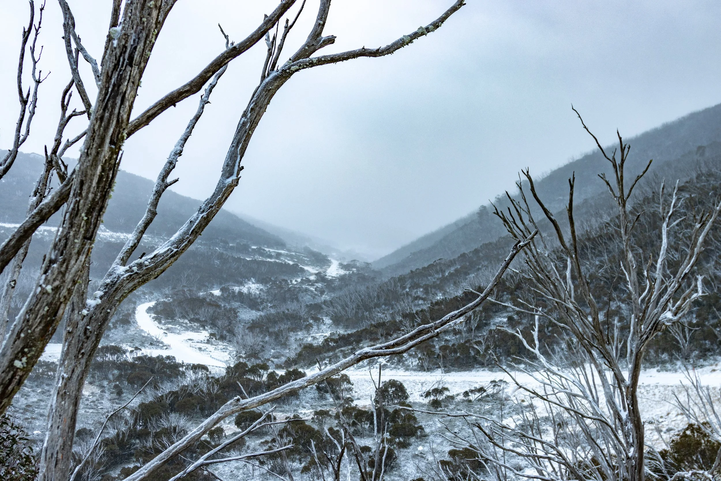 Snow-covered mountain valley with leafless trees in the foreground and foggy, snow-dusted hills in the background.