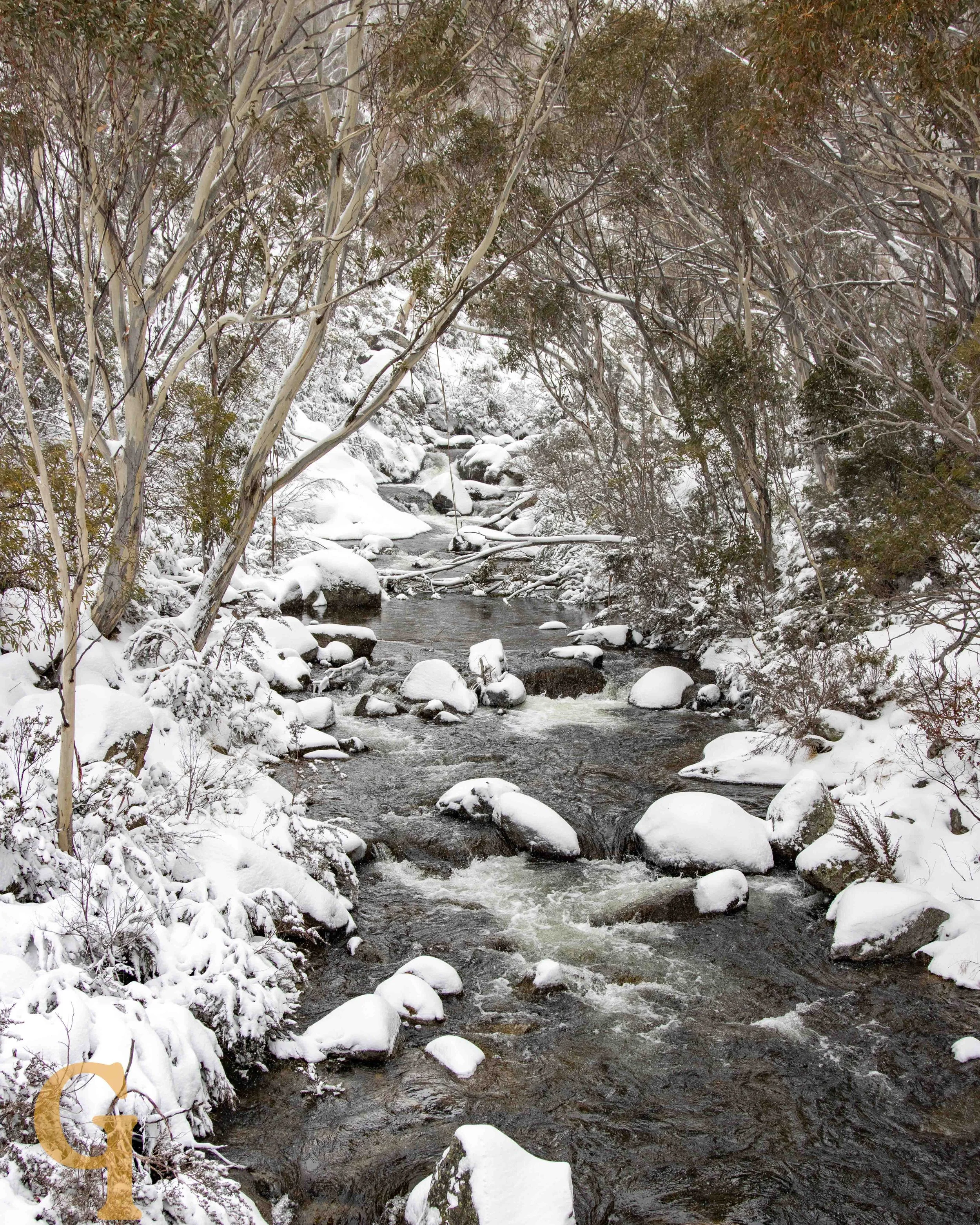 Snow-covered rocks and trees surround a flowing stream in a winter landscape.