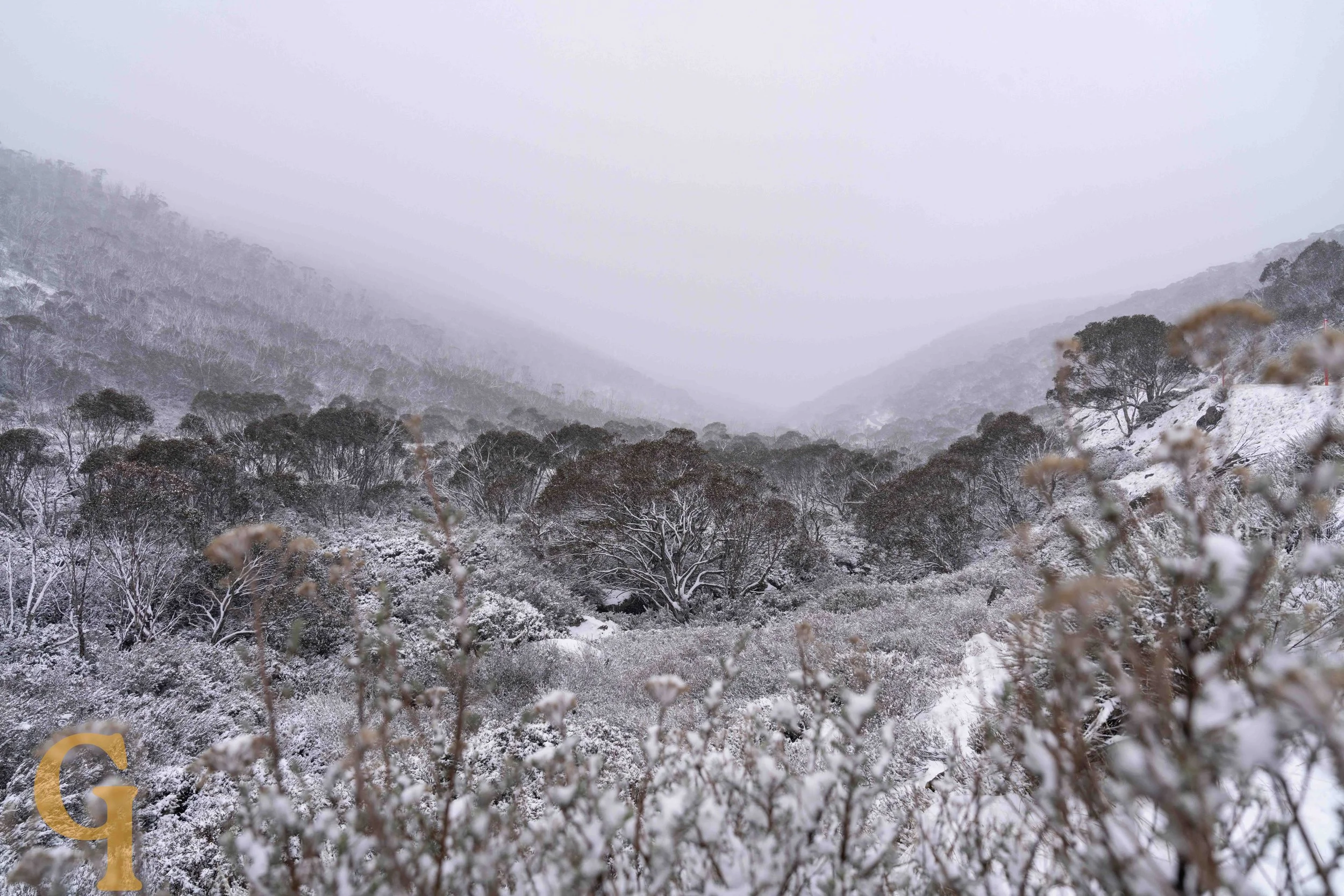 Snow-covered mountain landscape with trees and fog in the distance