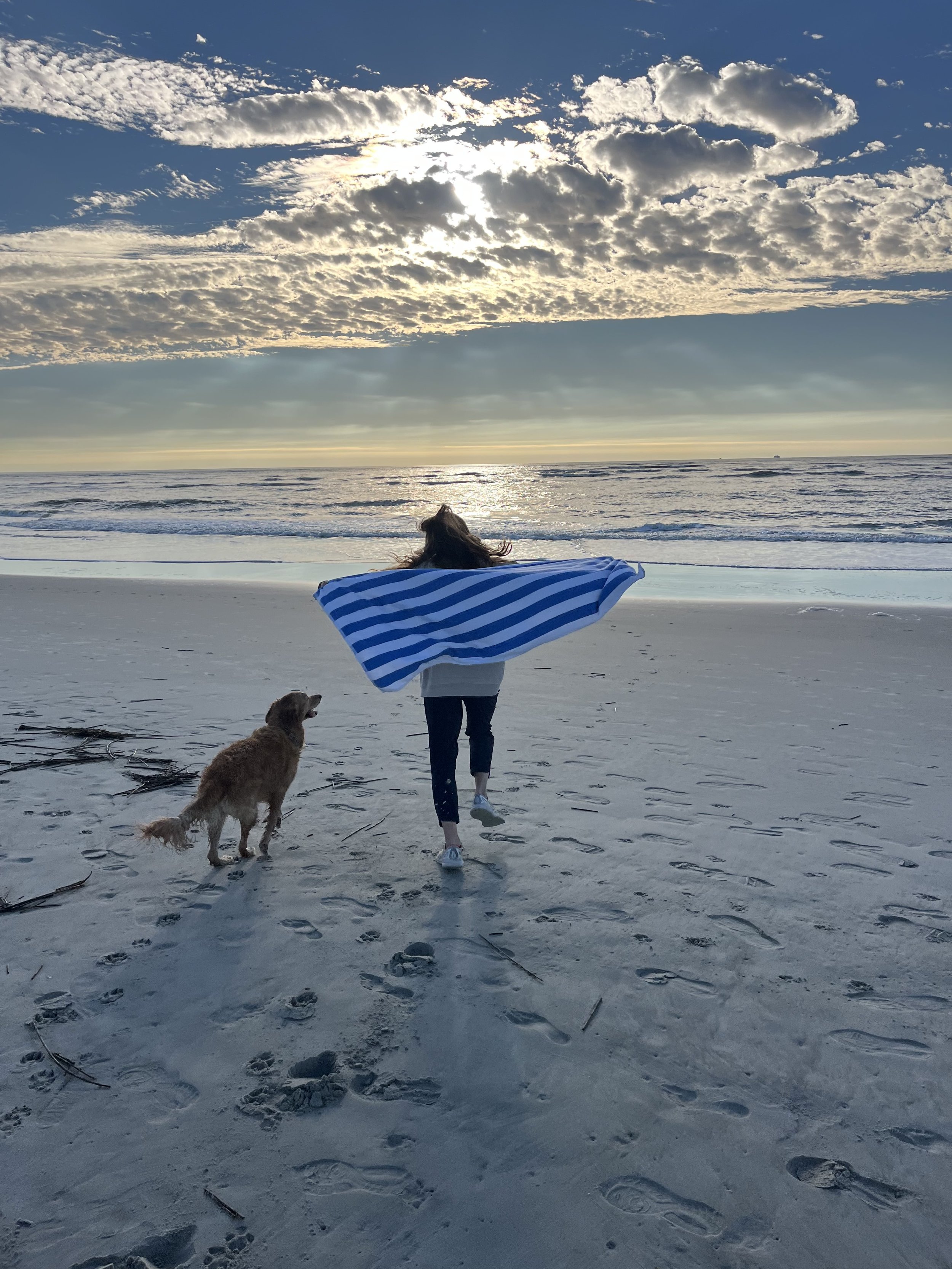 How to Build High Impact Marketing Campaigns