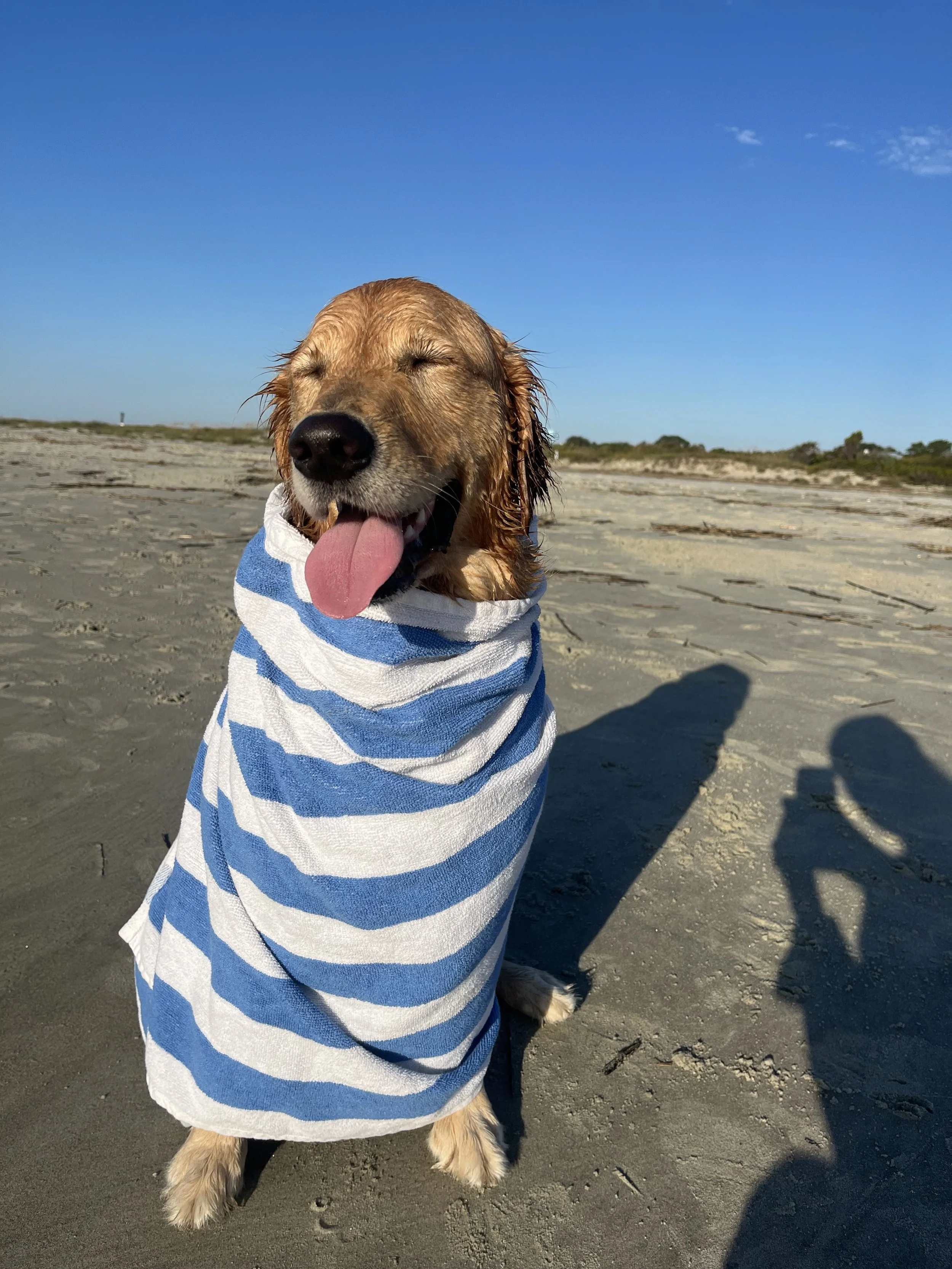 How to Find the Right Balance Between Paid &amp; Organic Search in the Age of LLMs