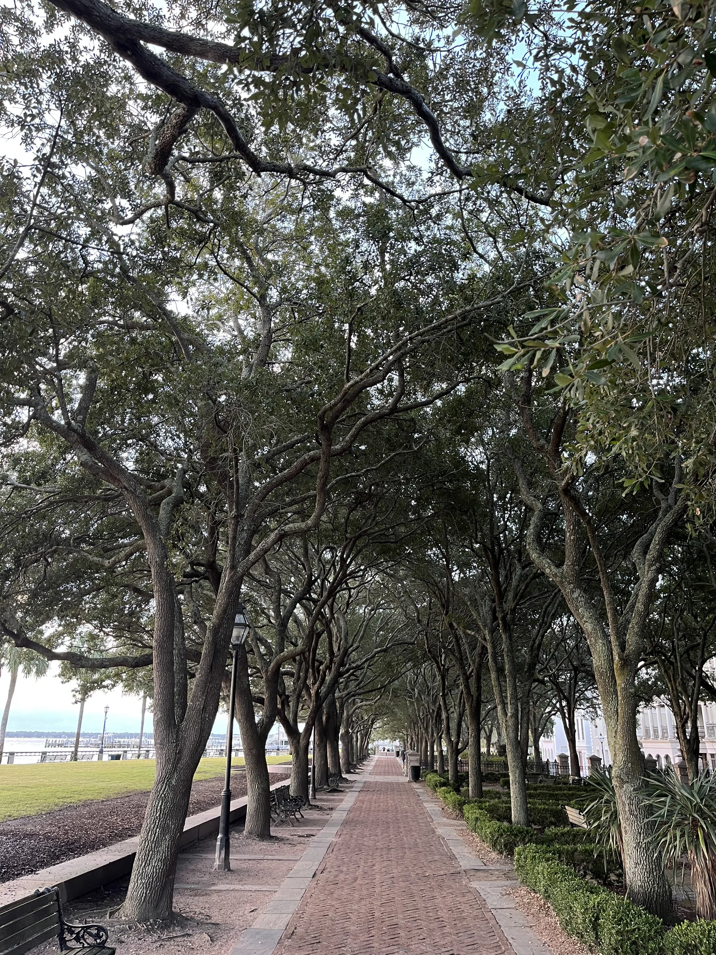 Best Project Management Tools for 11-50 Person Companies&nbsp;