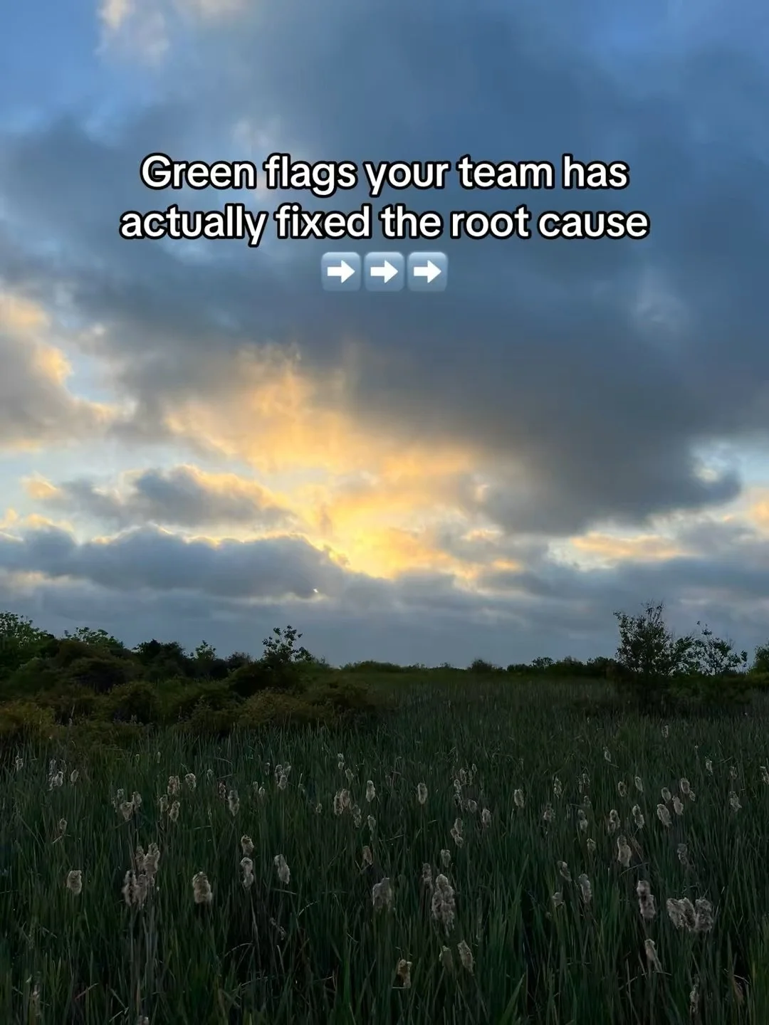 No you&rsquo;re not dreaming 💭 

This is entirely possible. But it involves pausing and addressing the systemic trends and patterns of your company. 

Are you willing to do the work?

#marketingstrategy #revenueoperations #processdocumentation #stan