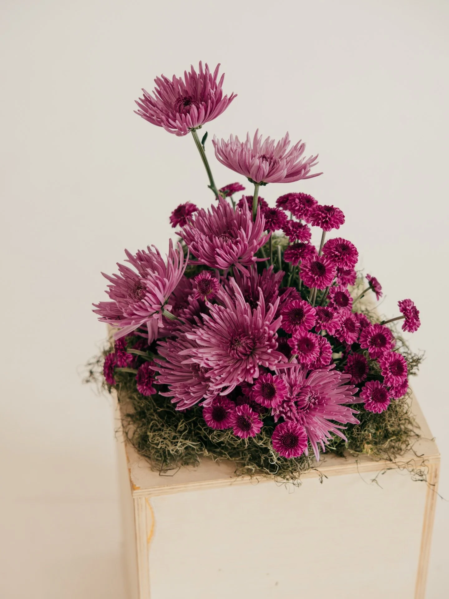 I&rsquo;ve been obsessed with monochromatic arrangements lately🤩🤩 

📷: @halliegrace.photography