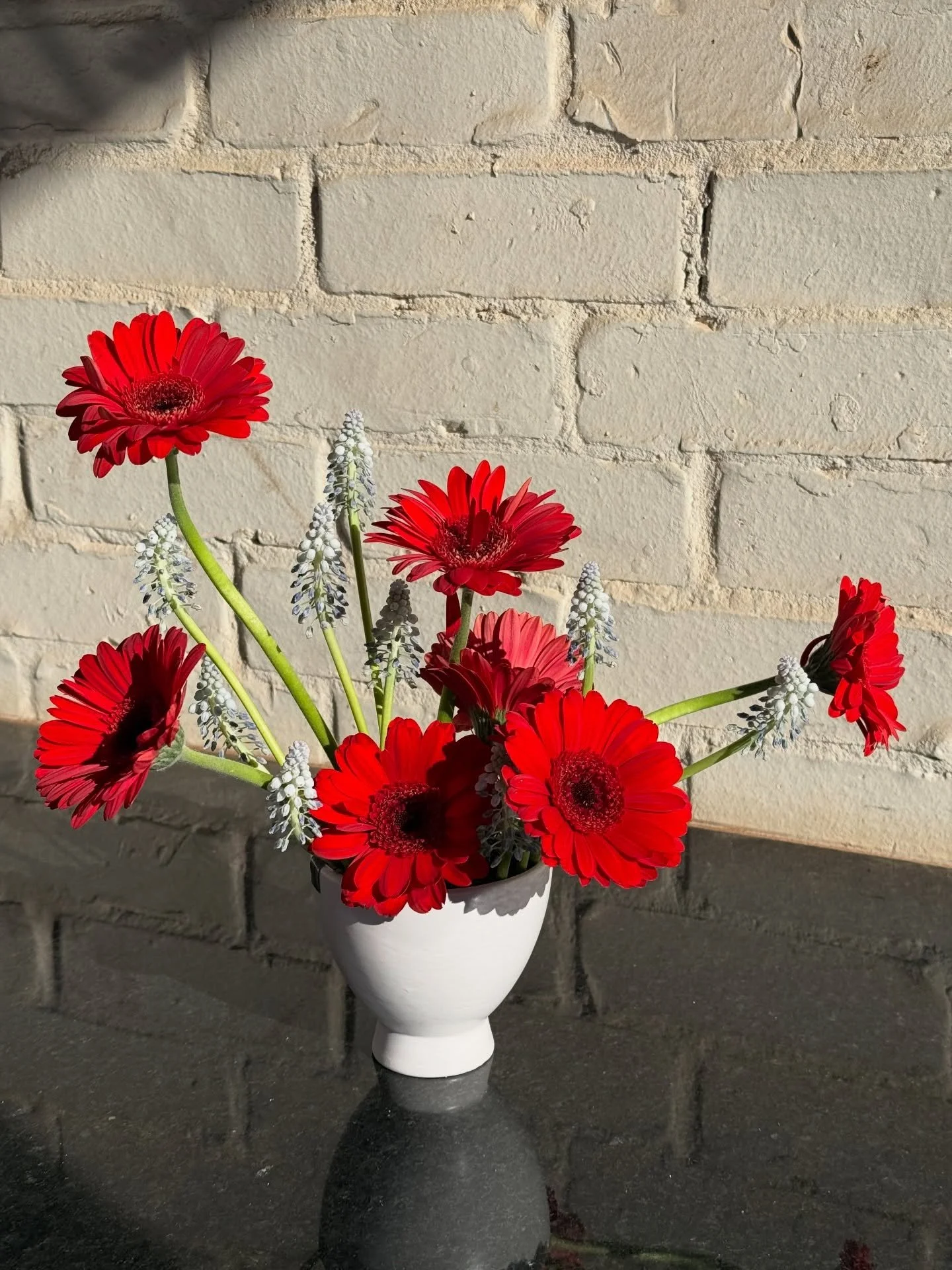 Something fun and funky today!🩵❤️