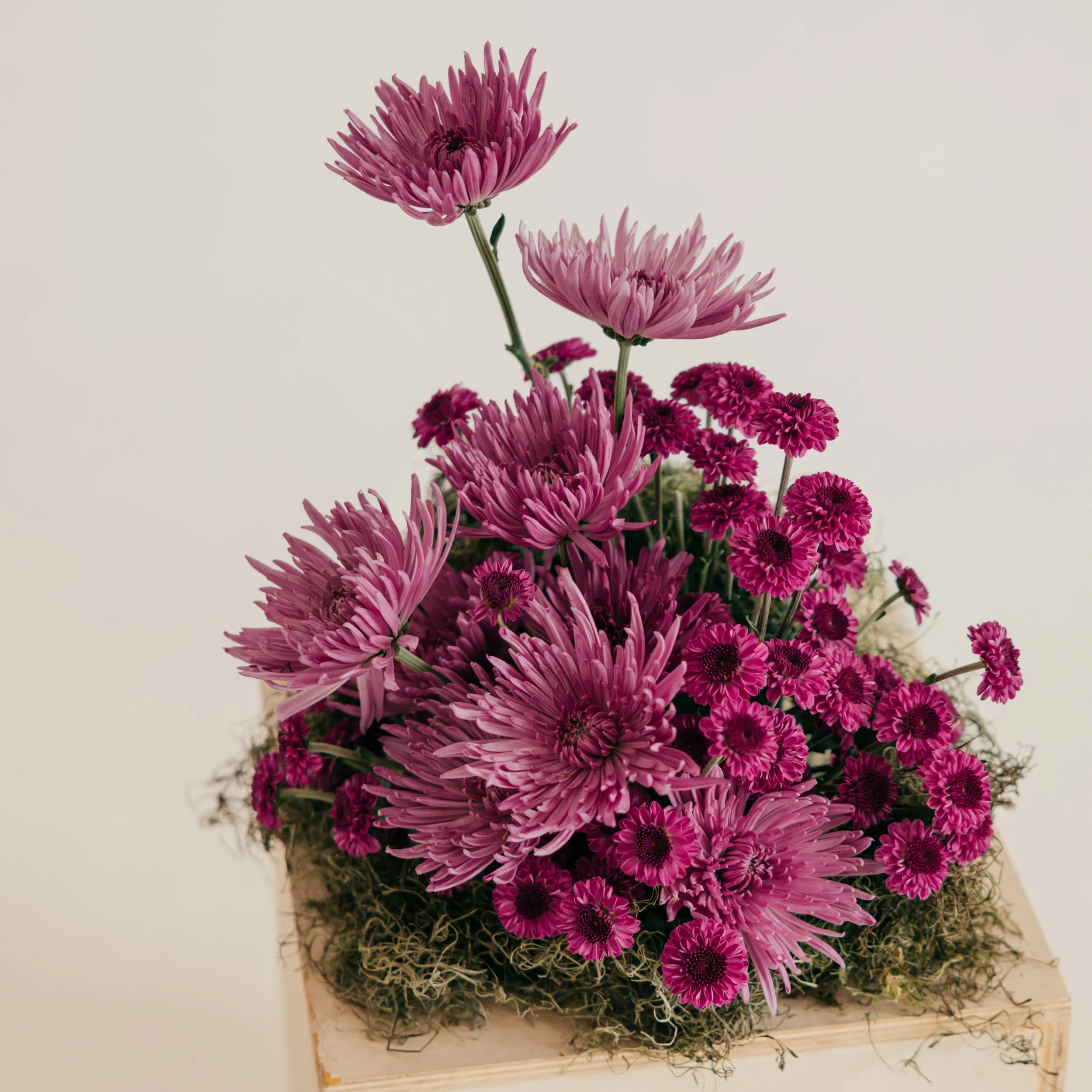 Arrangement of pink chrysanthemums and daisies on a wooden box with moss at the base.