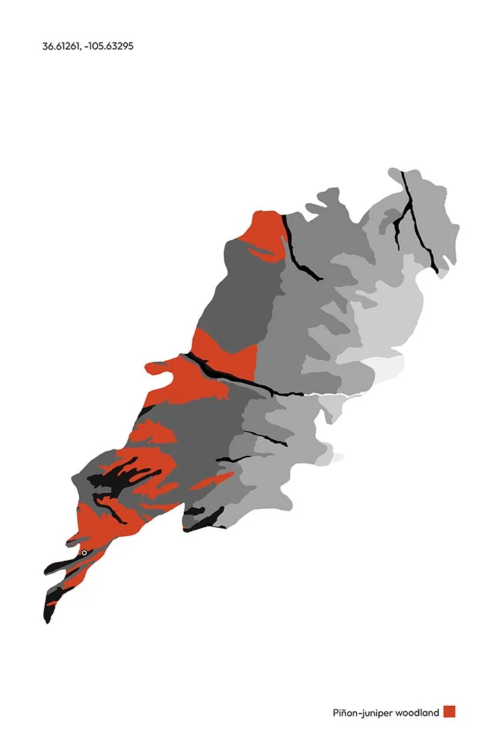 Piñonero01.jpg