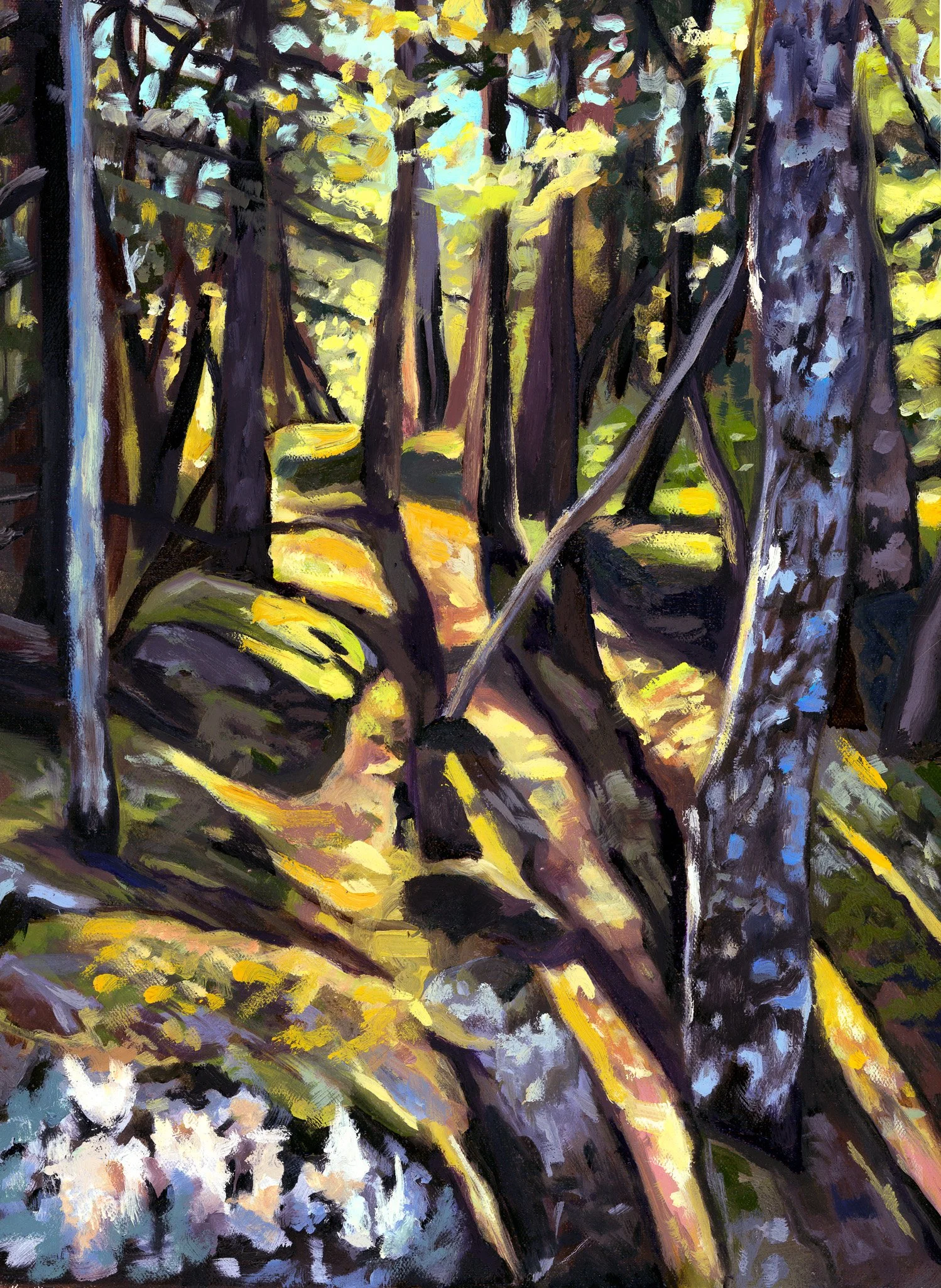 2025 "Wild Maine", oil on canvas.