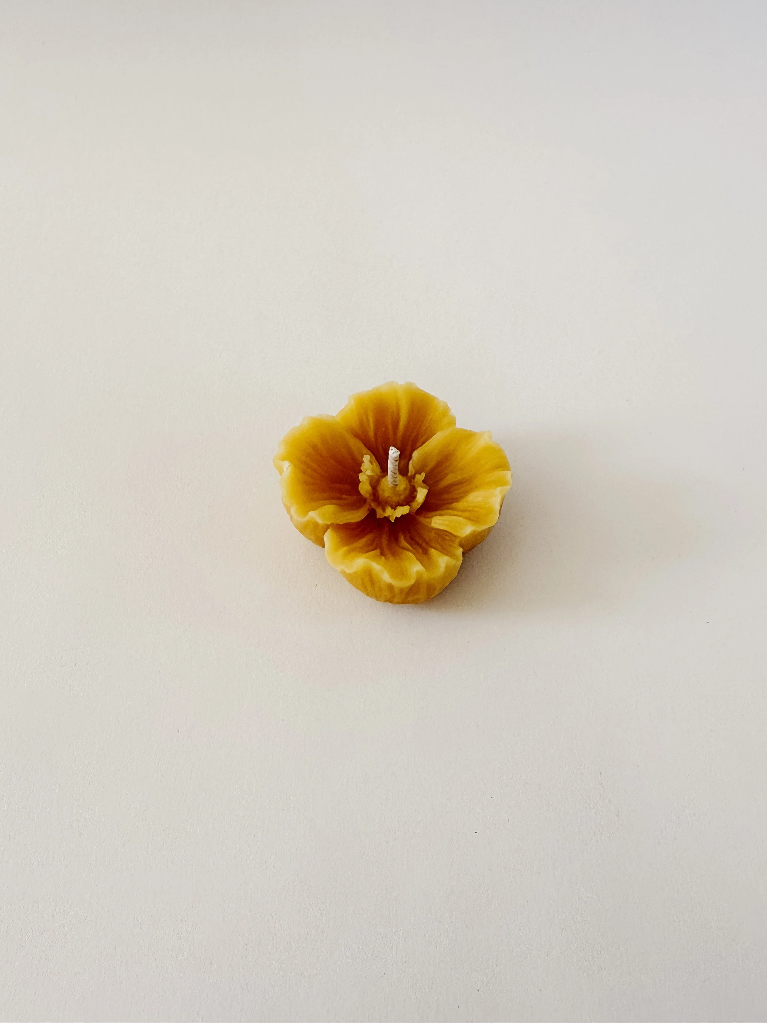 Beeswax Poppy Tealights