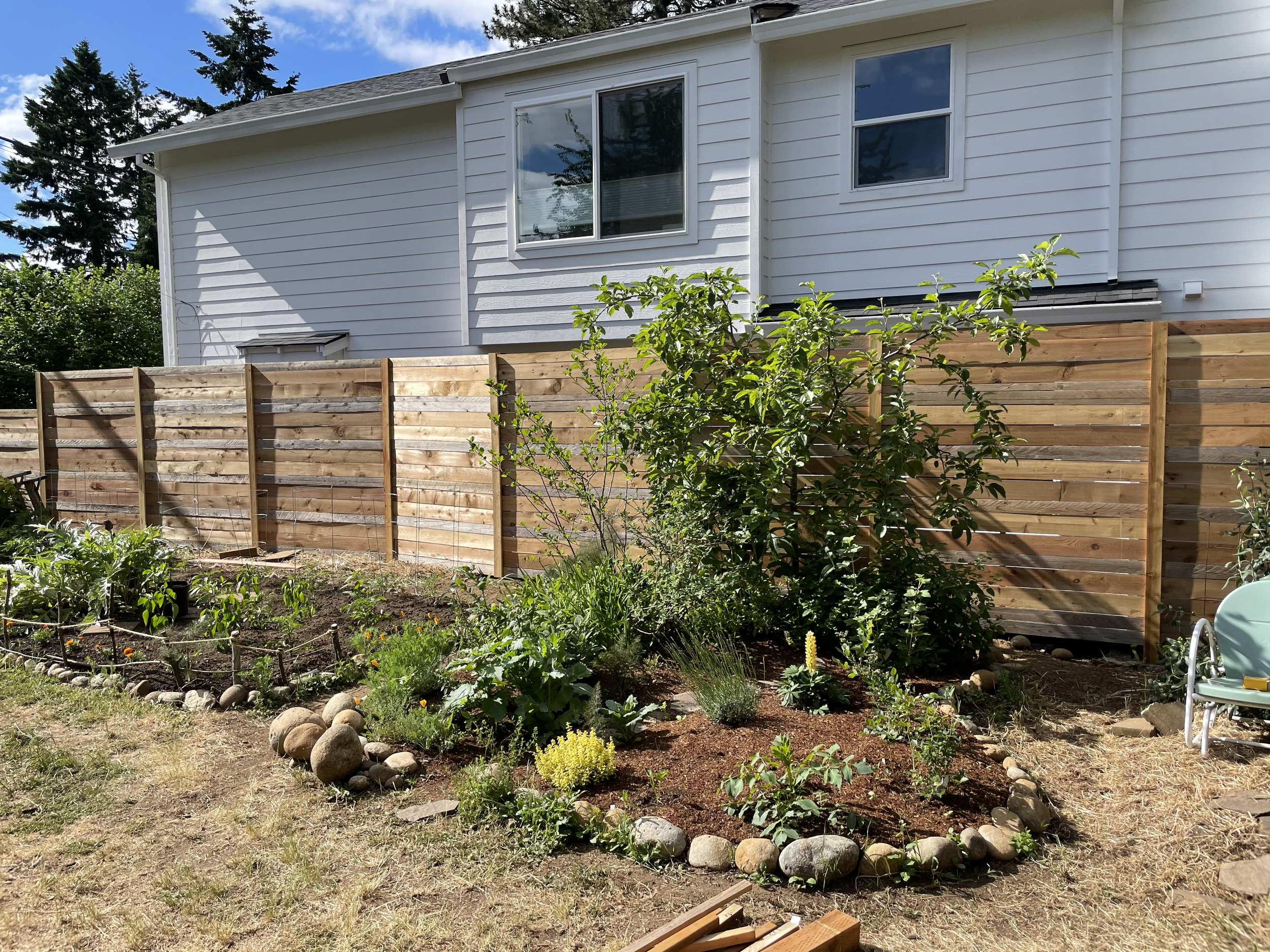 A backyard garden with several plants and shrubs, surrounded by a stone border, with a wooden privacy fence and a white house with two windows in the background.