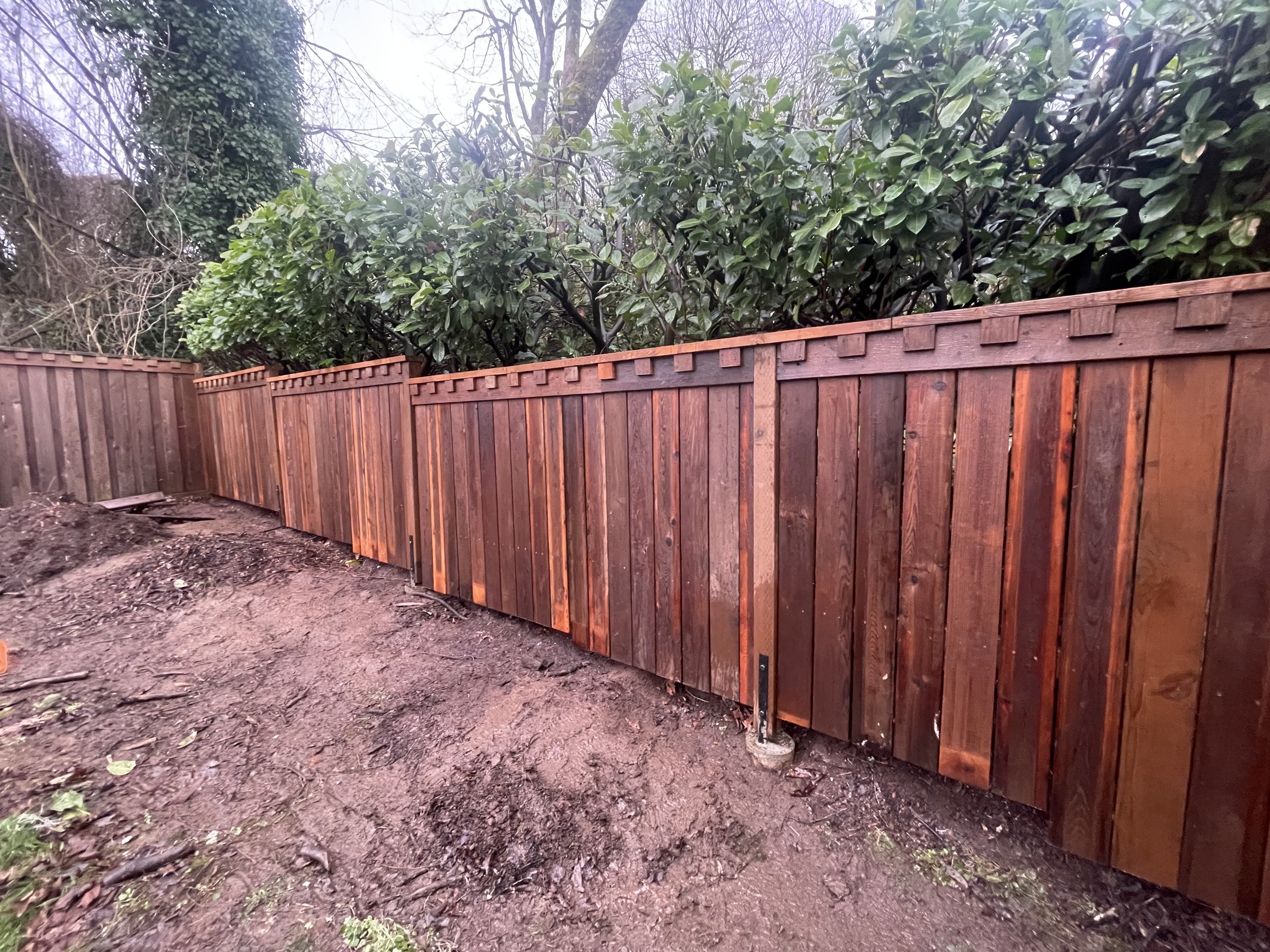 A newly built wooden privacy fence with a decorative top runs along a dirt area with bushes and trees behind it.