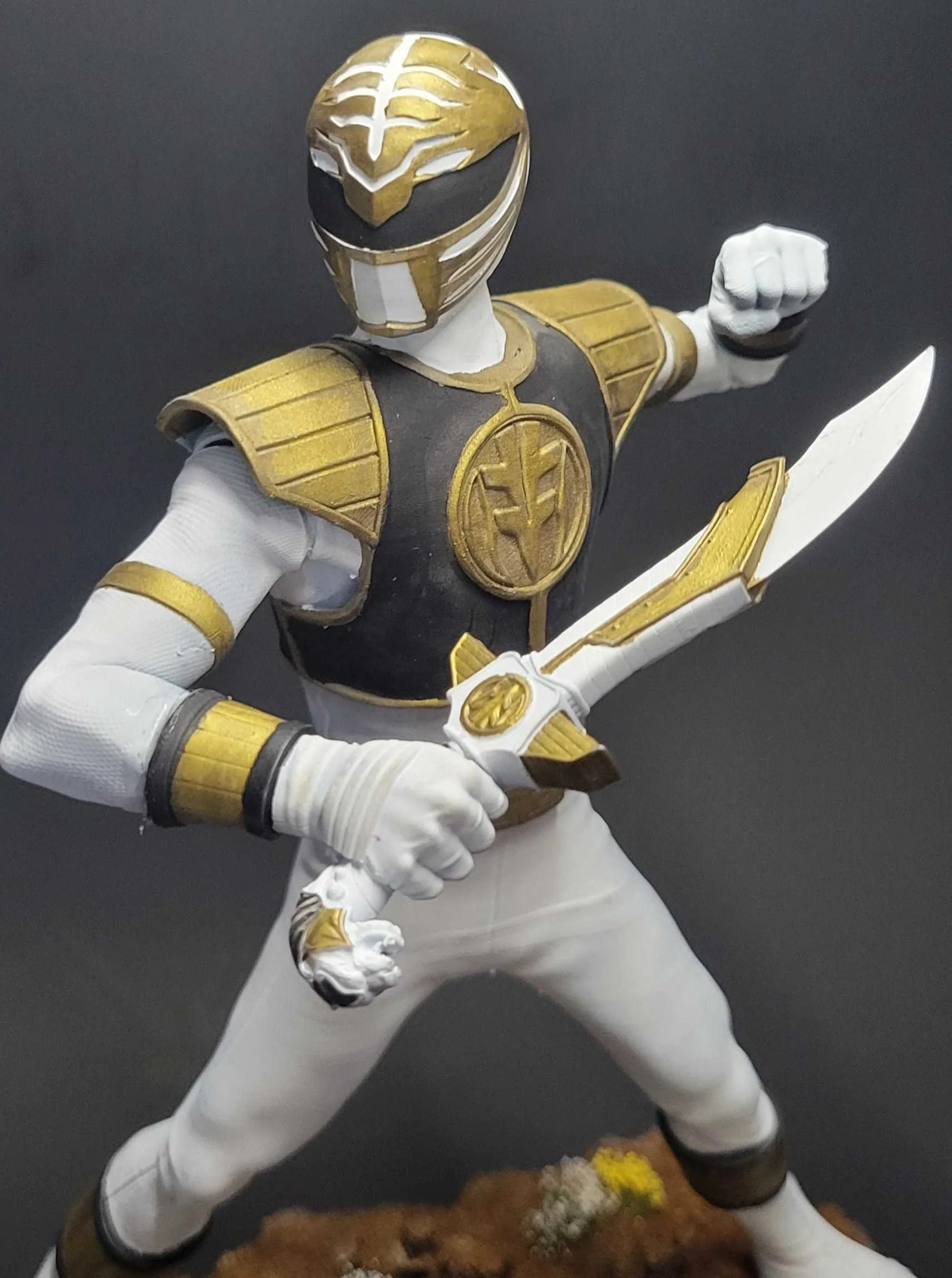 White Ranger - Angle 2.jpg