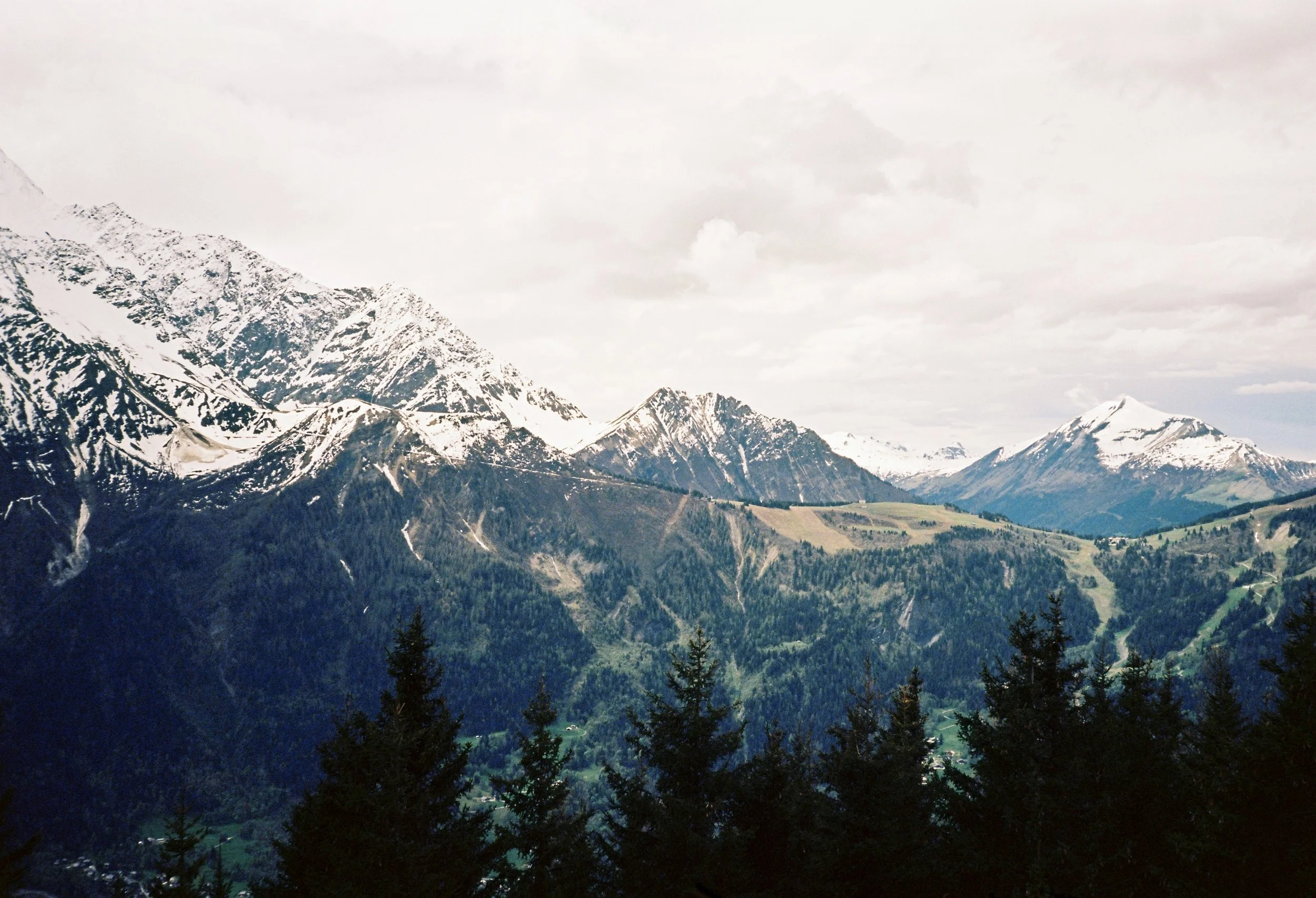 IMG_3189.JPG