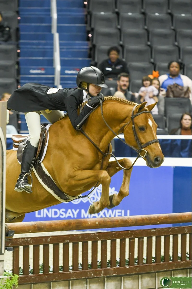 Pick Your Pony: 2018 WIHS Pony Champions Edition