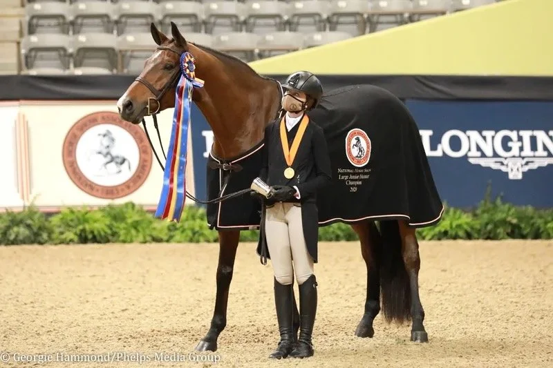 New Horse, Same Result