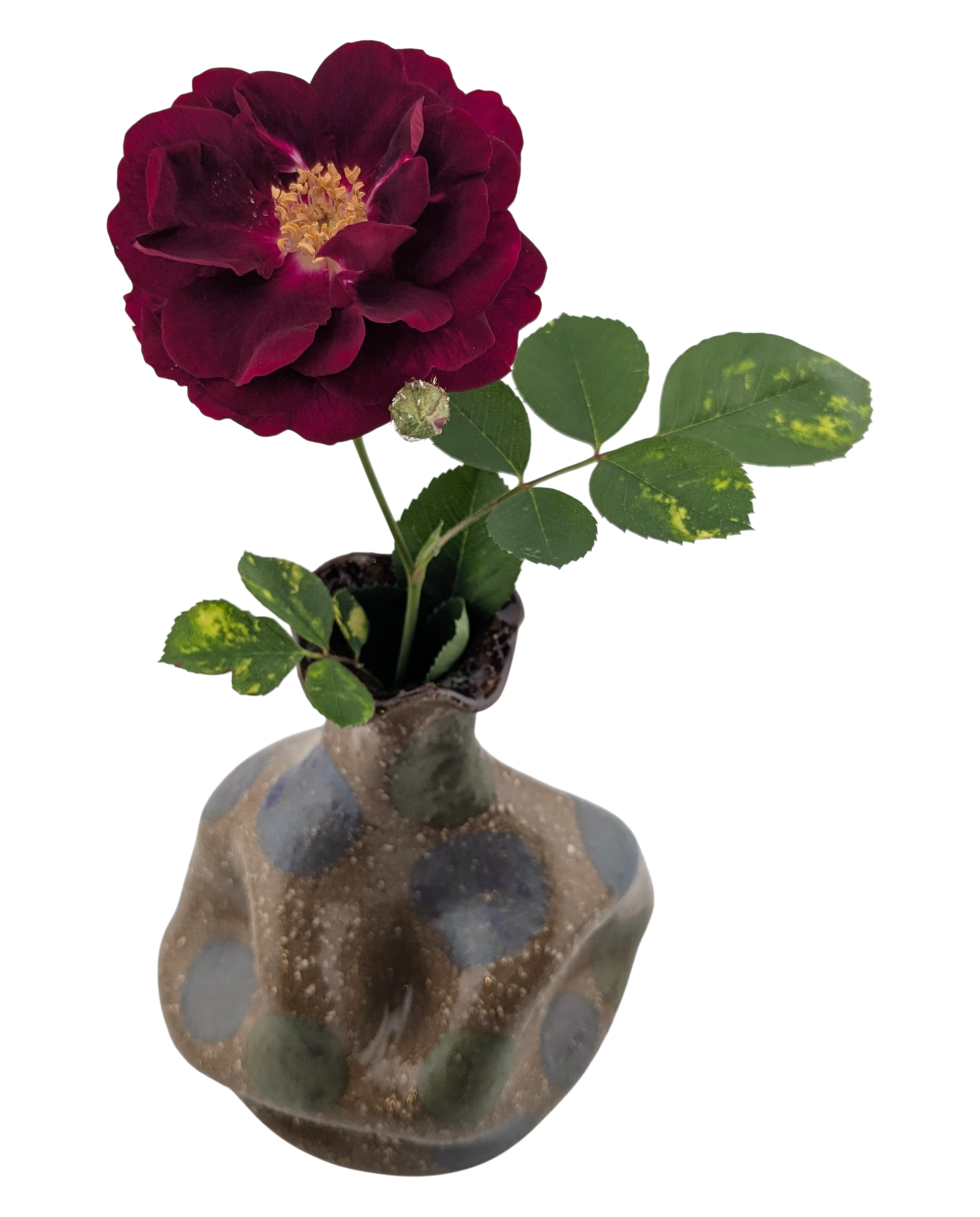 Vase 1.1.png
