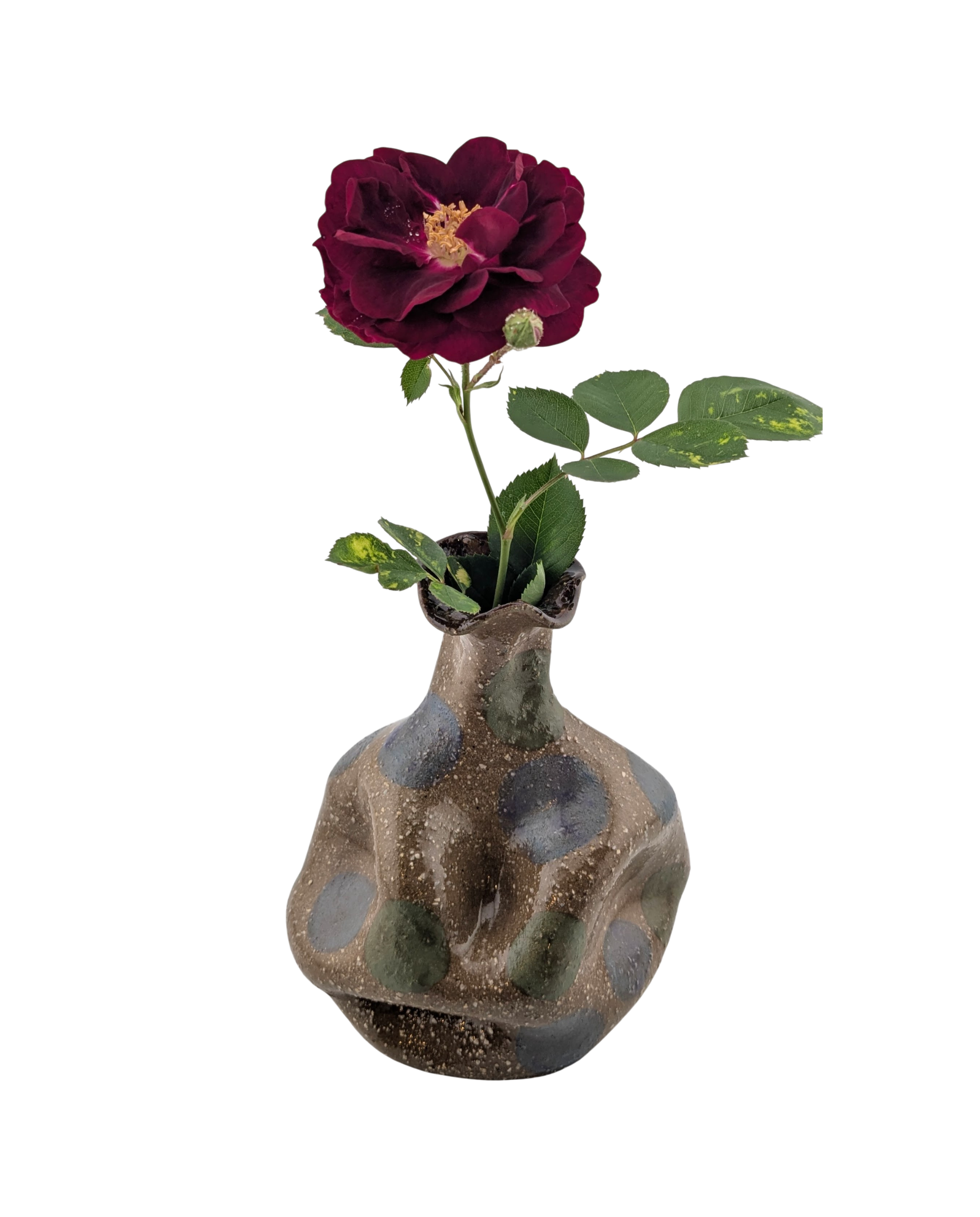 Vase 1.1.png