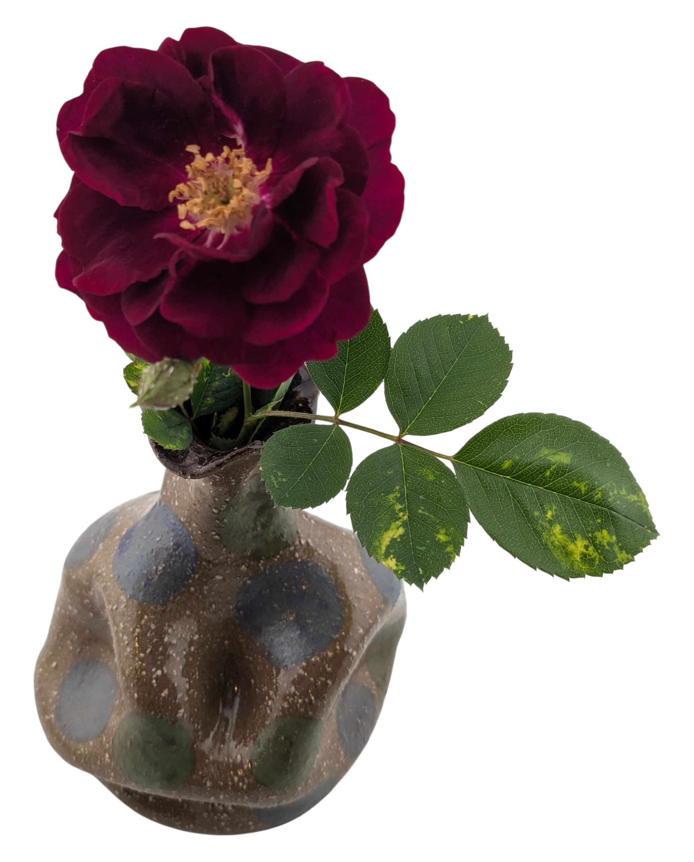 Vase 1.6.png