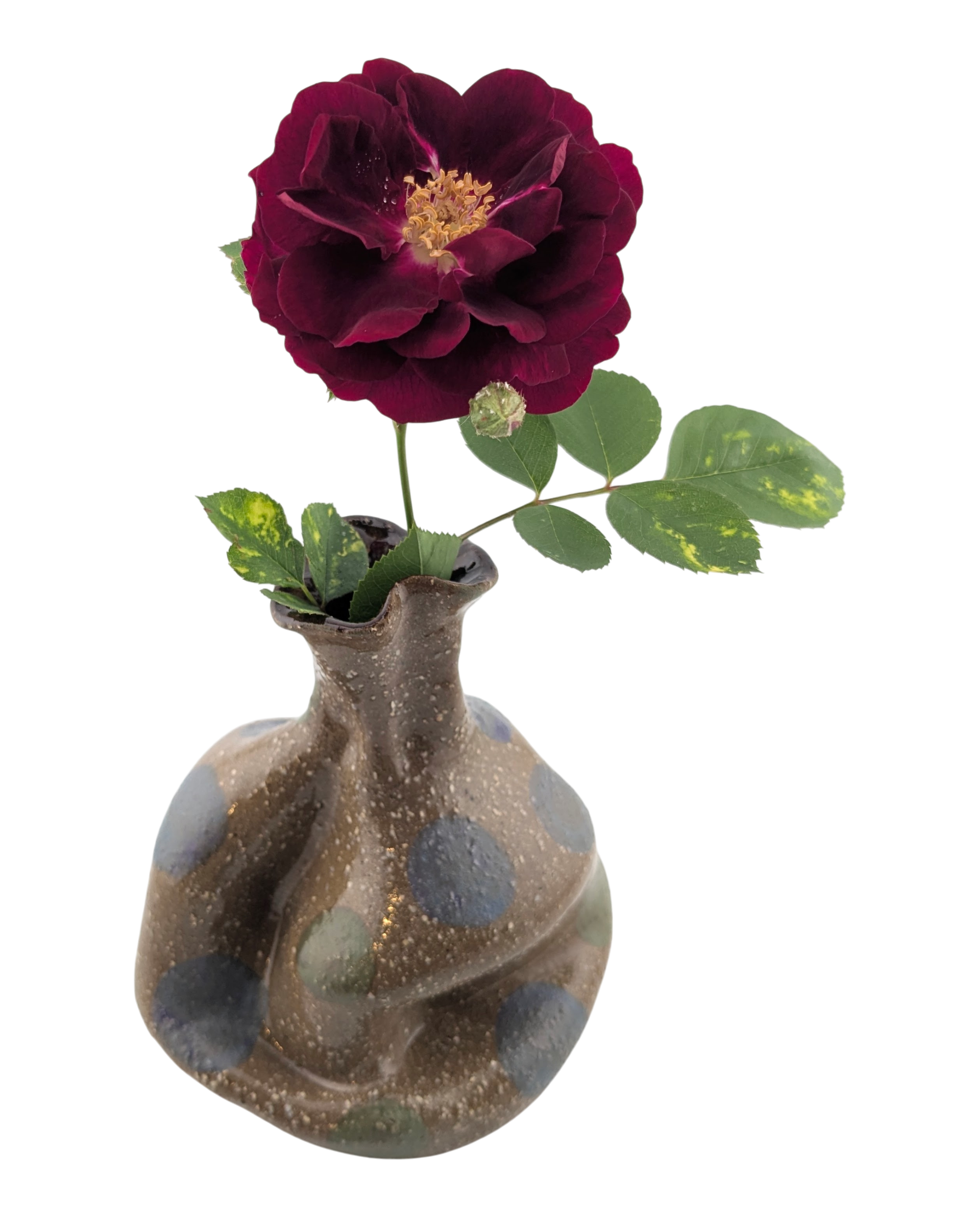Vase 1.3.png