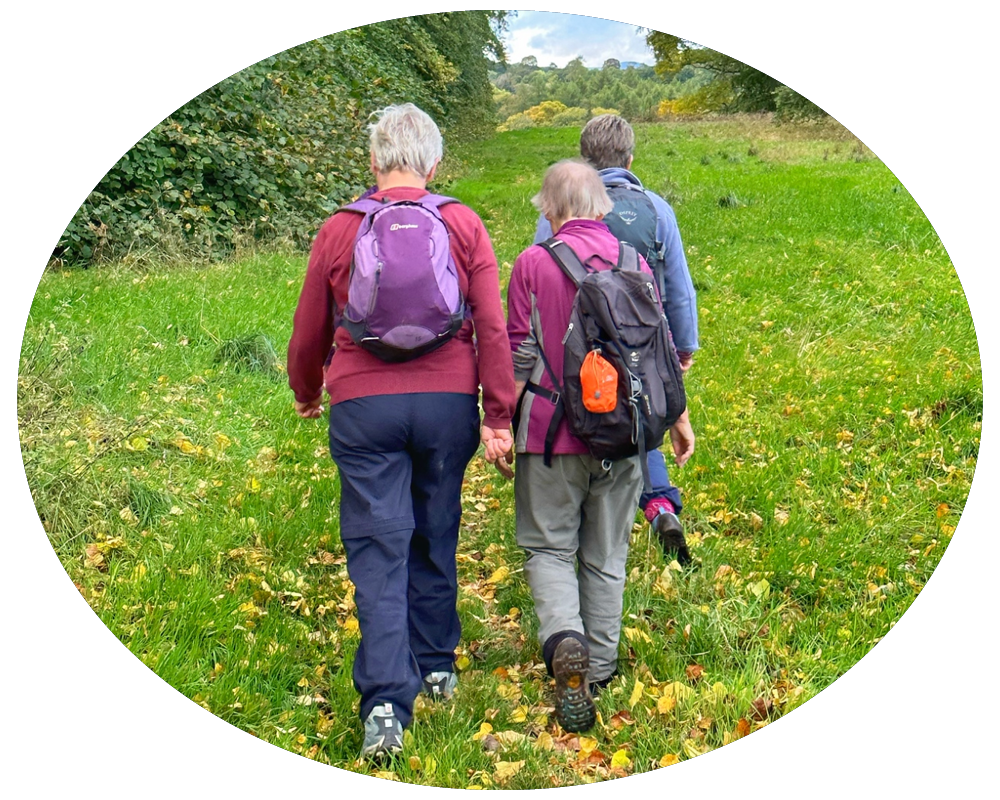 Four people hiking on a trail through a grassy and wooded area.