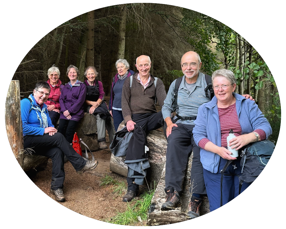 Group of eight hikers resting on logs in a forest.