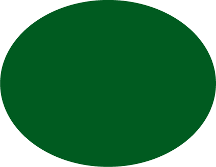 Solid green circle on a white background