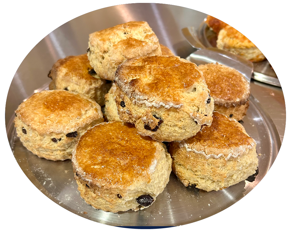 Close-up of freshly baked scones with chocolate chips on a metal tray.