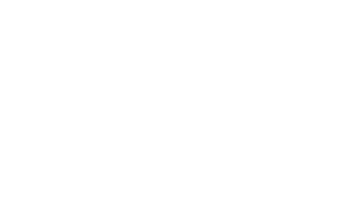 Flow Lagree