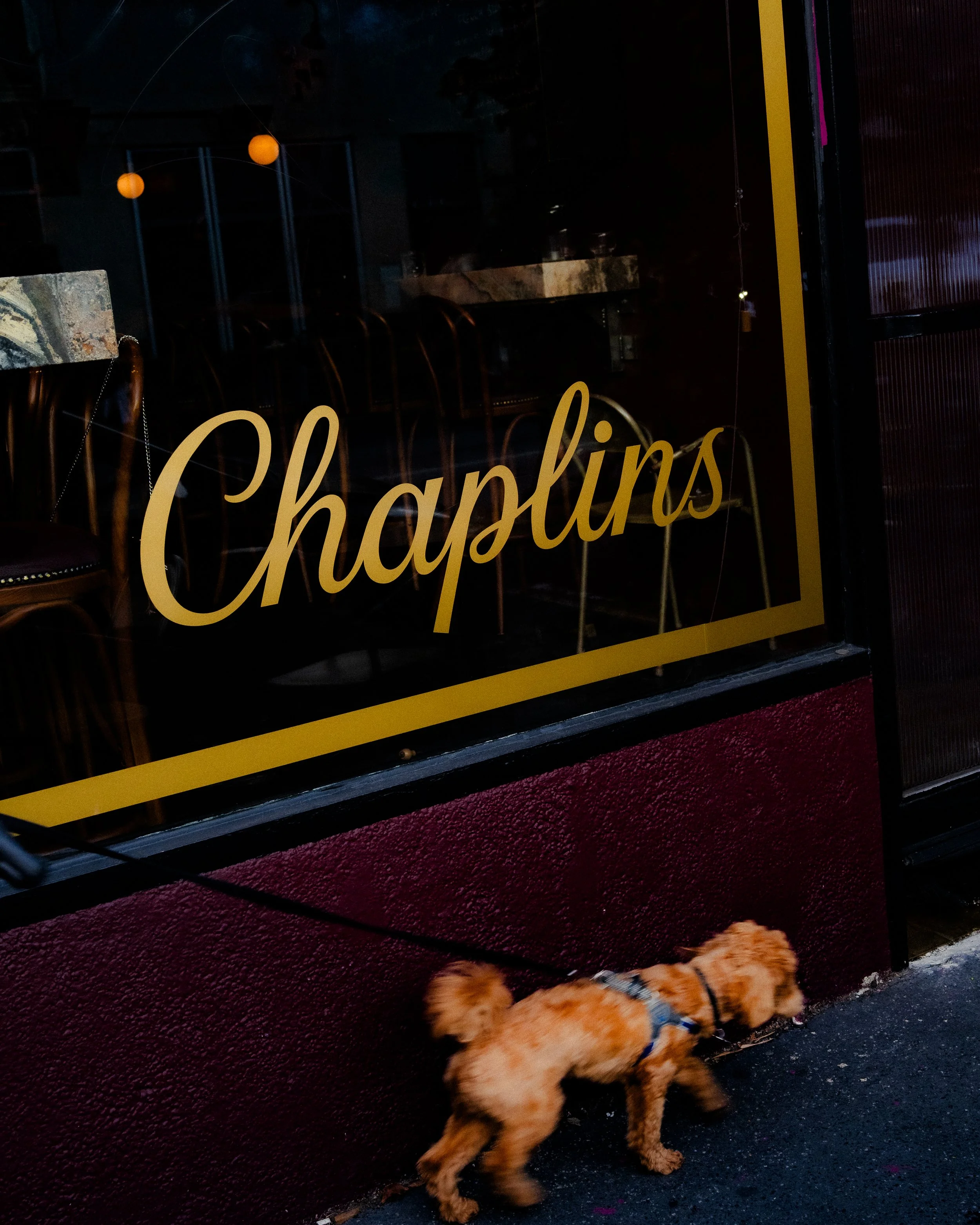 Chaplin's Wine Bar located in the heart of Brunswick East