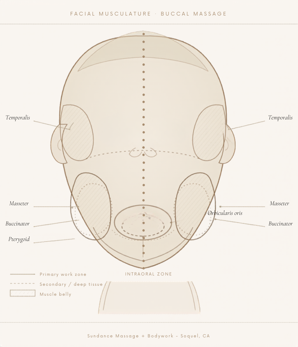 Facial Sculpting Therapy