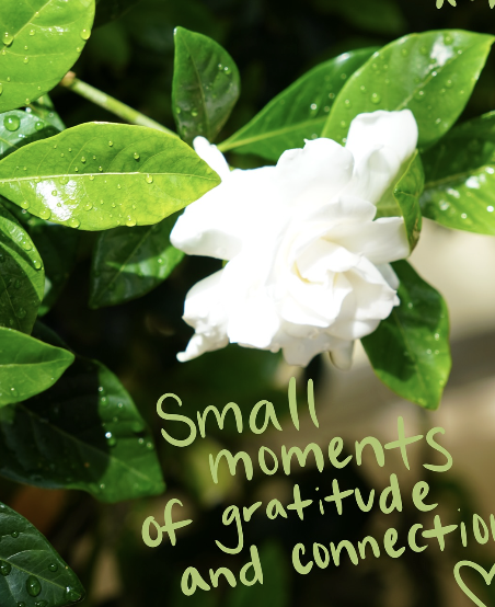 Virtual therapist in Florida for shame, burnout, self-doubt, and anxiety