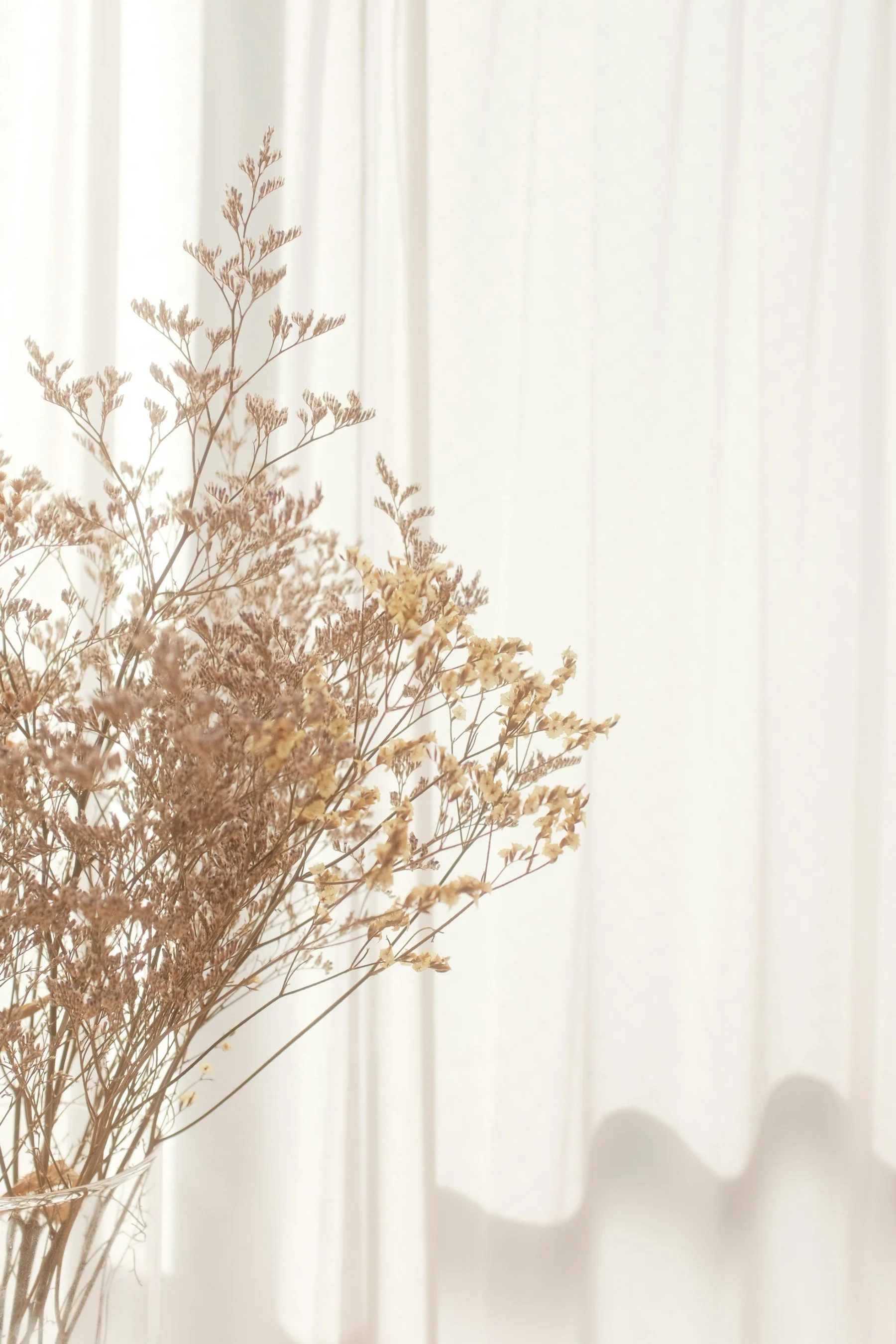 Dried beige and pink flowers in a transparent vase against a cream-colored, paneled curtain background.