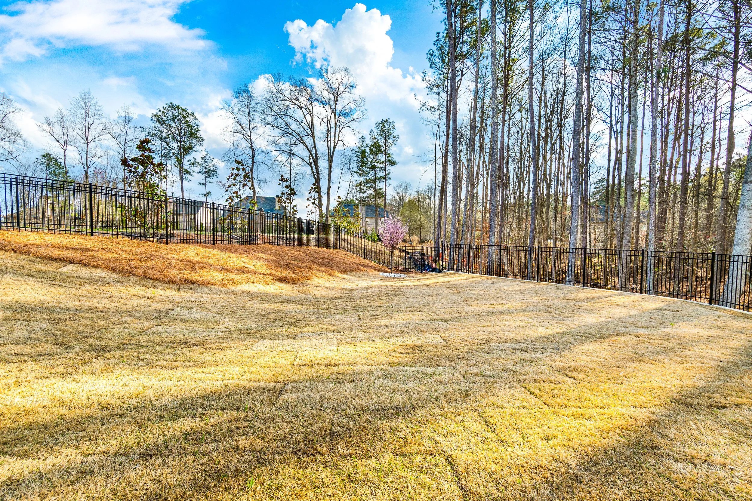 A backyard lawn with a black metal fence, trees in the background, and a partly cloudy sky.