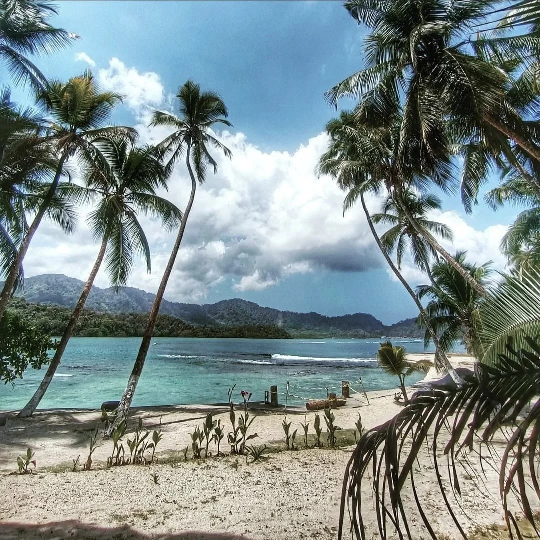 Una playa con arena blanca, palmeras inclinadas hacia el mar, agua azul clara y montañas al fondo bajo un cielo con nubes.