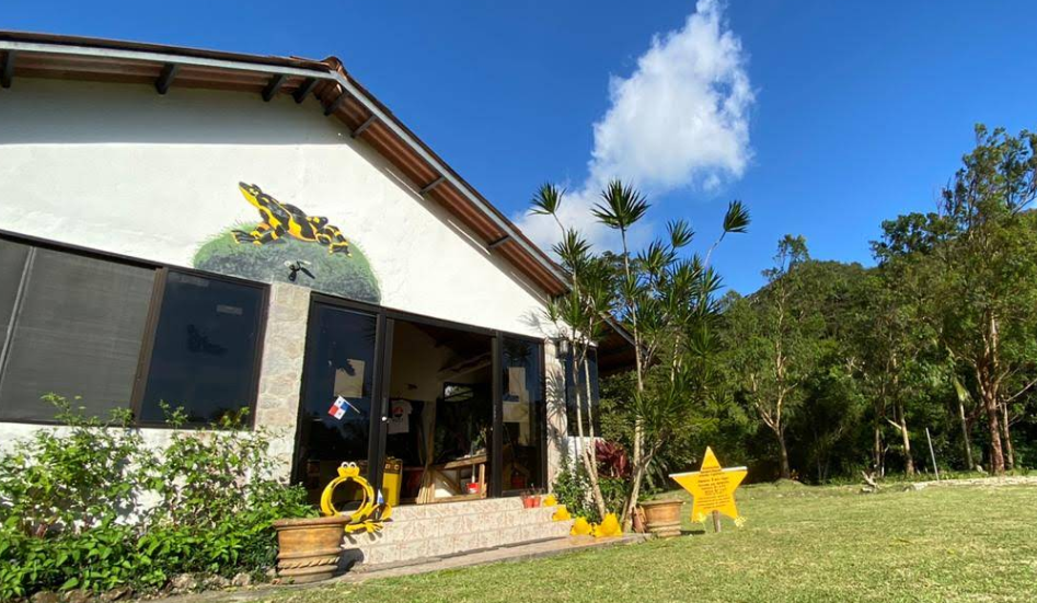 Casa con mural de gecko en la pared, rodeada de plantas y árboles, con un cielo azul con algunas nubes.