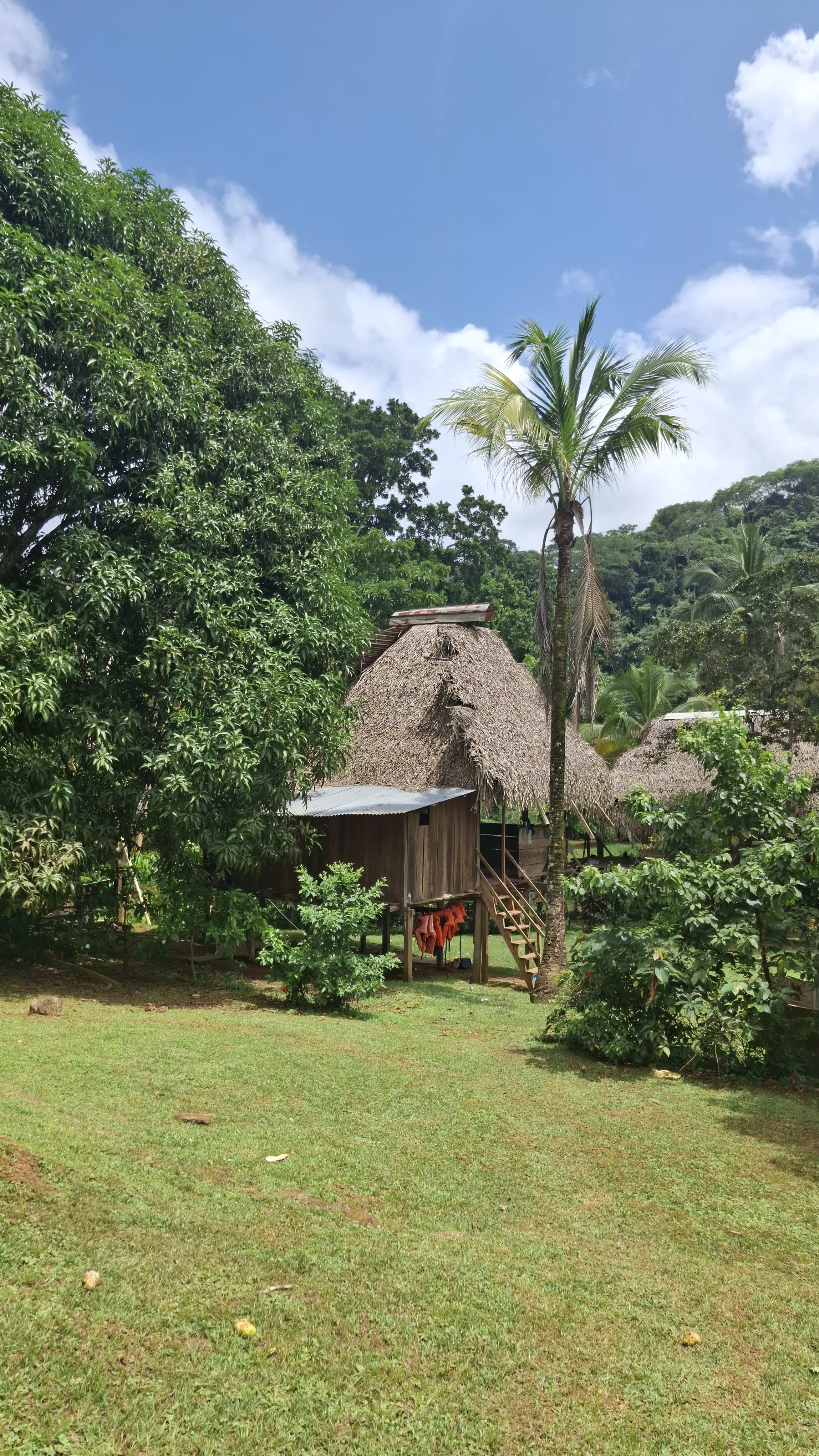 Casa tradicional de madera con techos de paja en un entorno selvático con árboles tropicales y cielo azul.