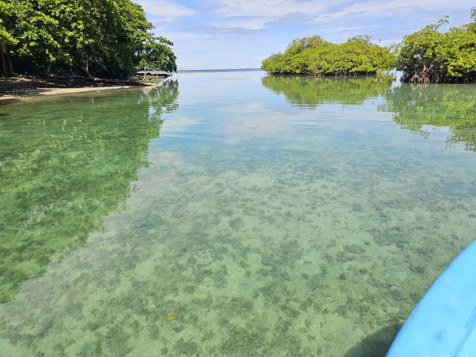 Agua cristalina en una laguna o río rodeado de vegetación verde, con pequeños árboles y arbustos en la orilla, y un cielo despejado con algunas nubes.