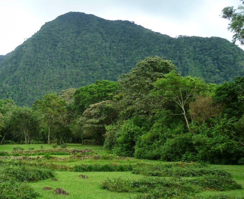 Un paisaje con árboles y colinas verdes, con un gran cerro en el fondo y un prado en primer plano.