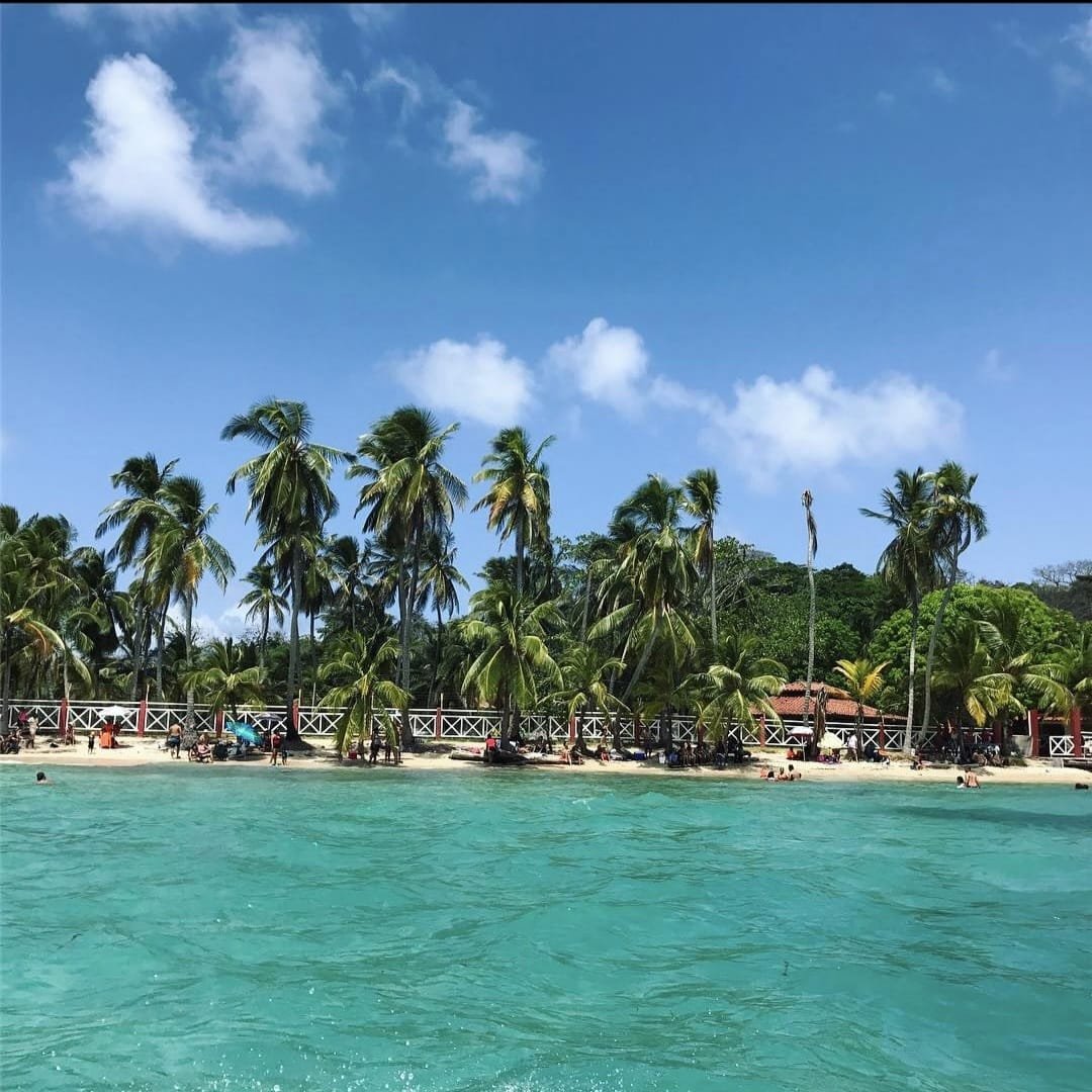 Playa con agua azul, palmeras y gente disfrutando junto a la orilla, cielo azul con algunas nubes.