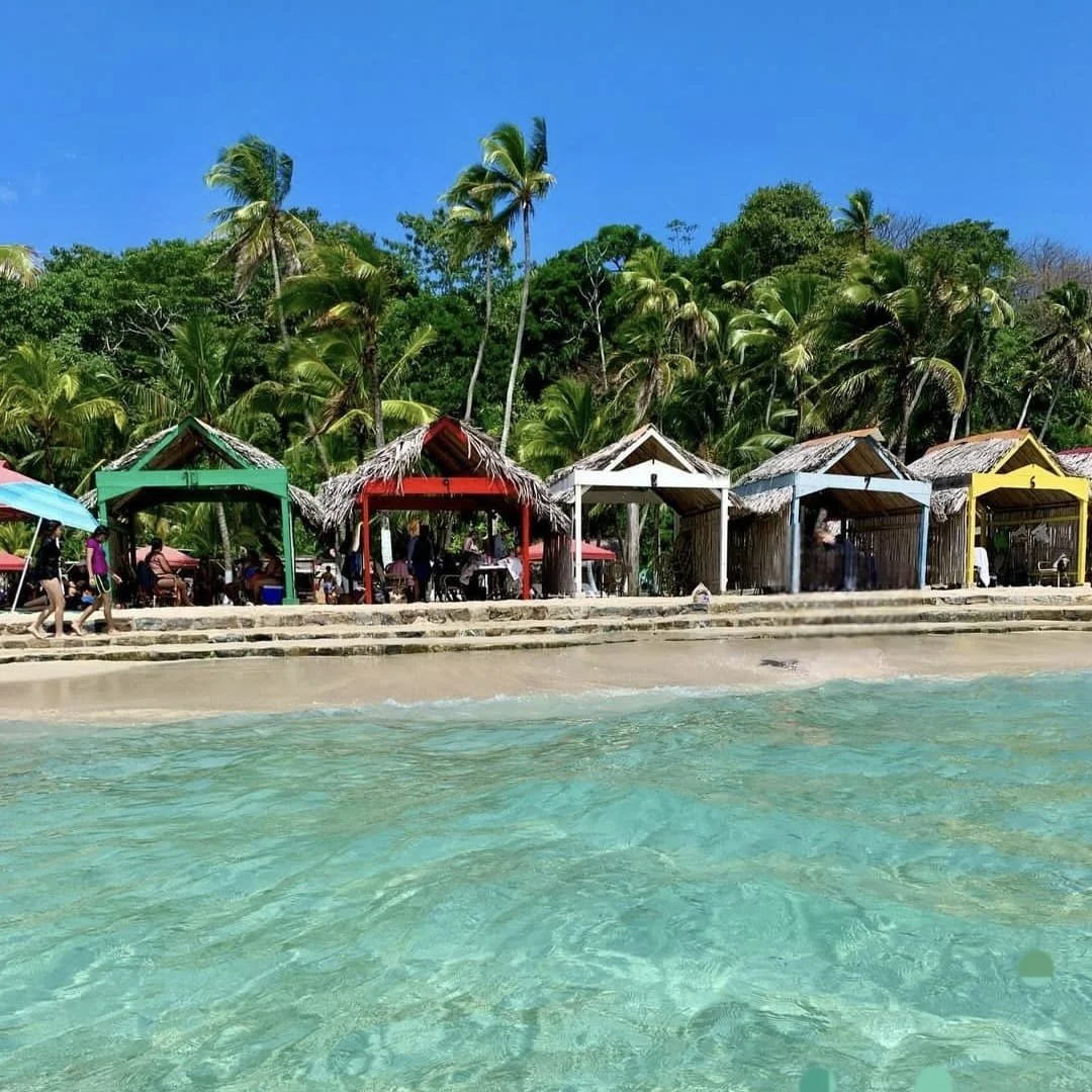 Hondas de playa de colores en la orilla con palmeras y vegetación tropical al fondo.