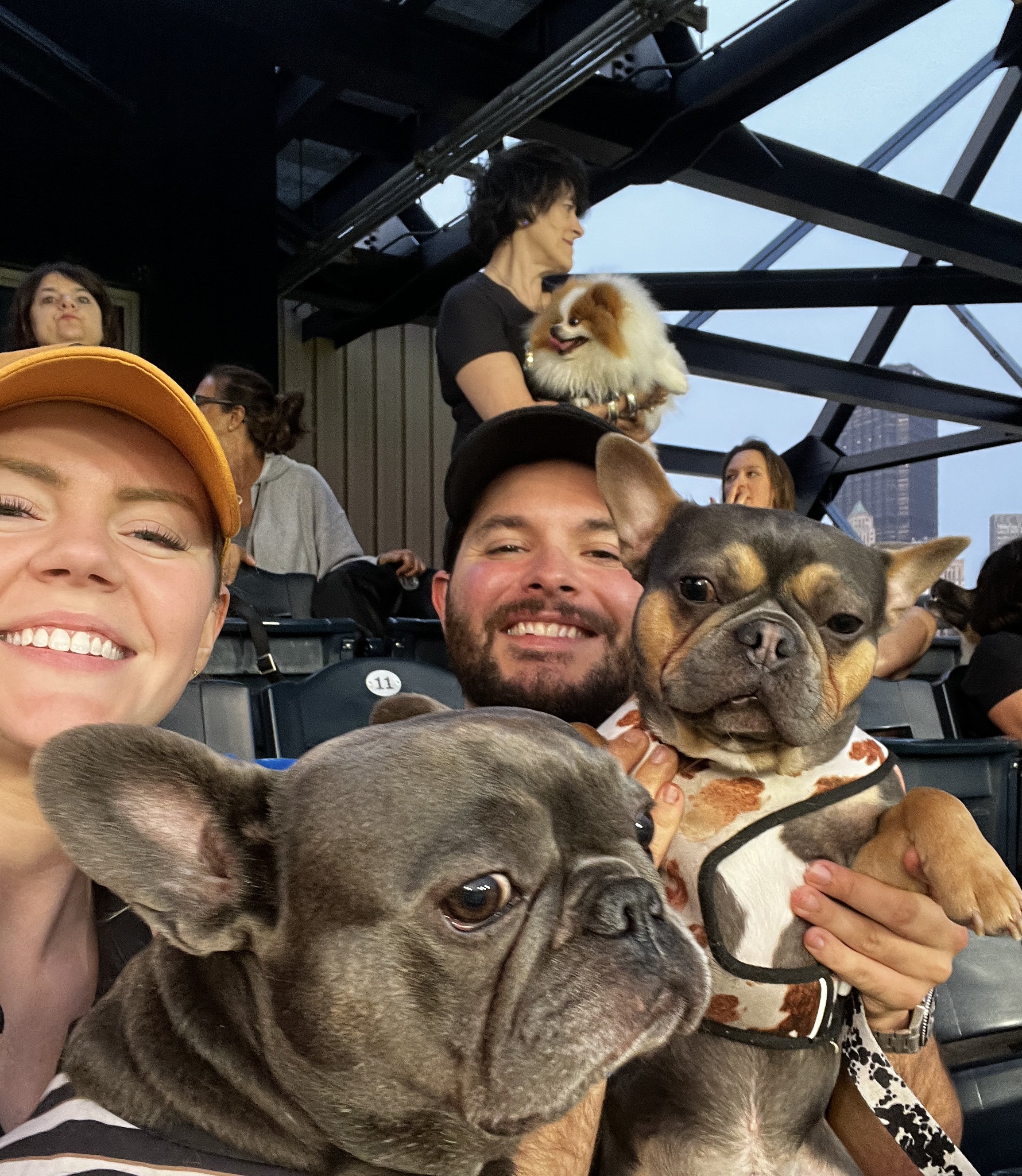 Bark in the Park - Pirates Game