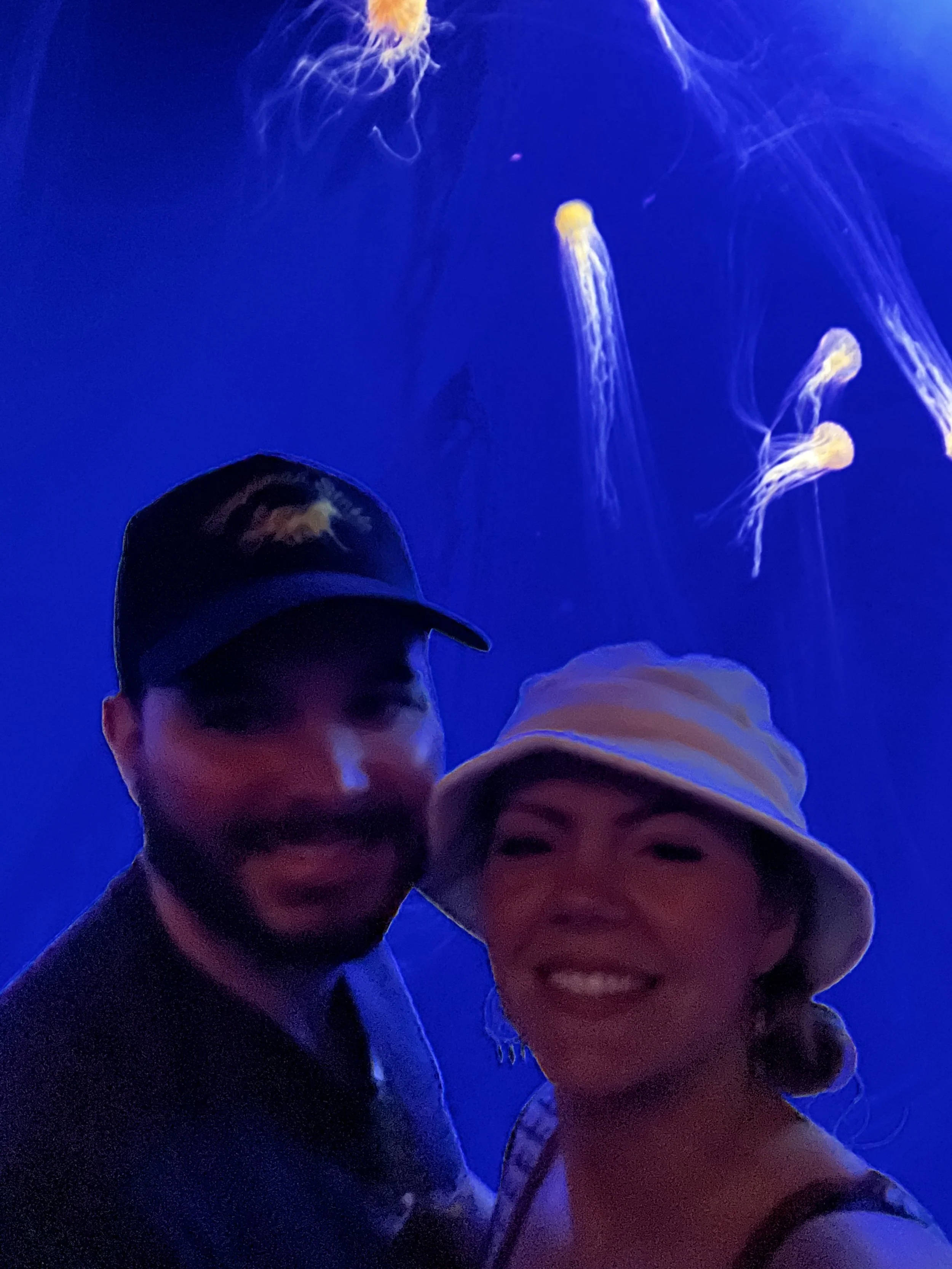 Atlanta Aquarium