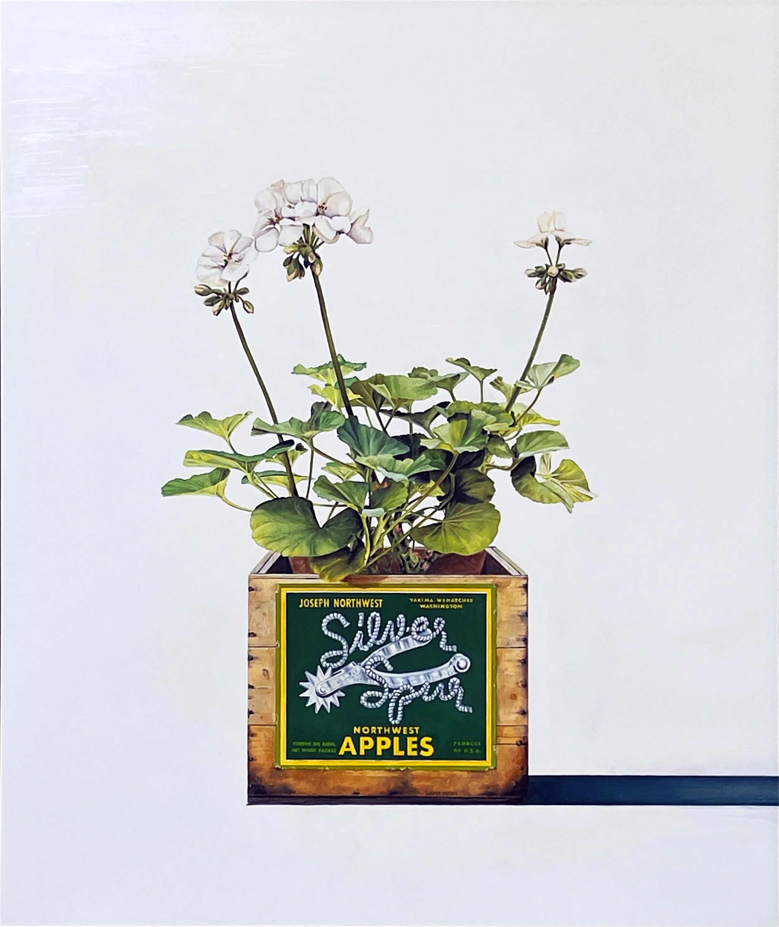 "SilverSpur Geraniums" - Oil on panel 36x30 inches - 2026 - Private Collection