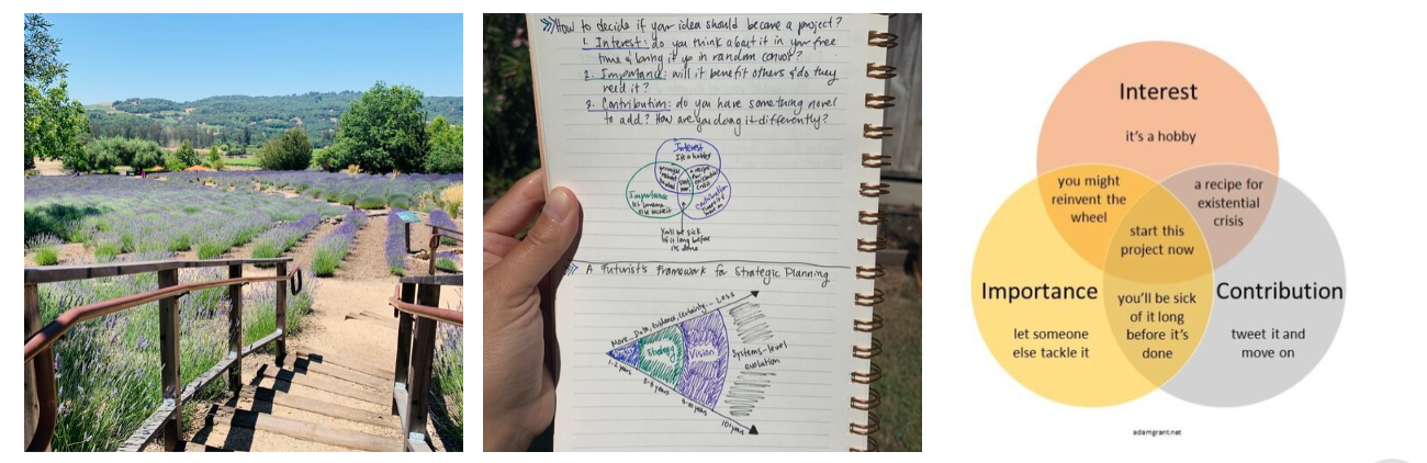 It's not yours...our new bi-weekly five!