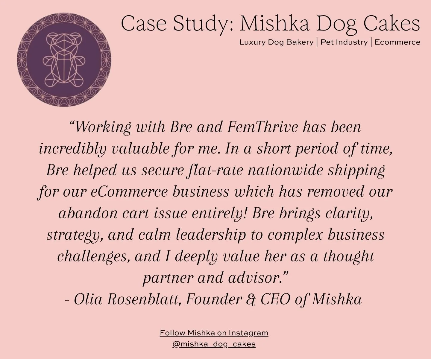 Mishka Dog Cakes Case Study