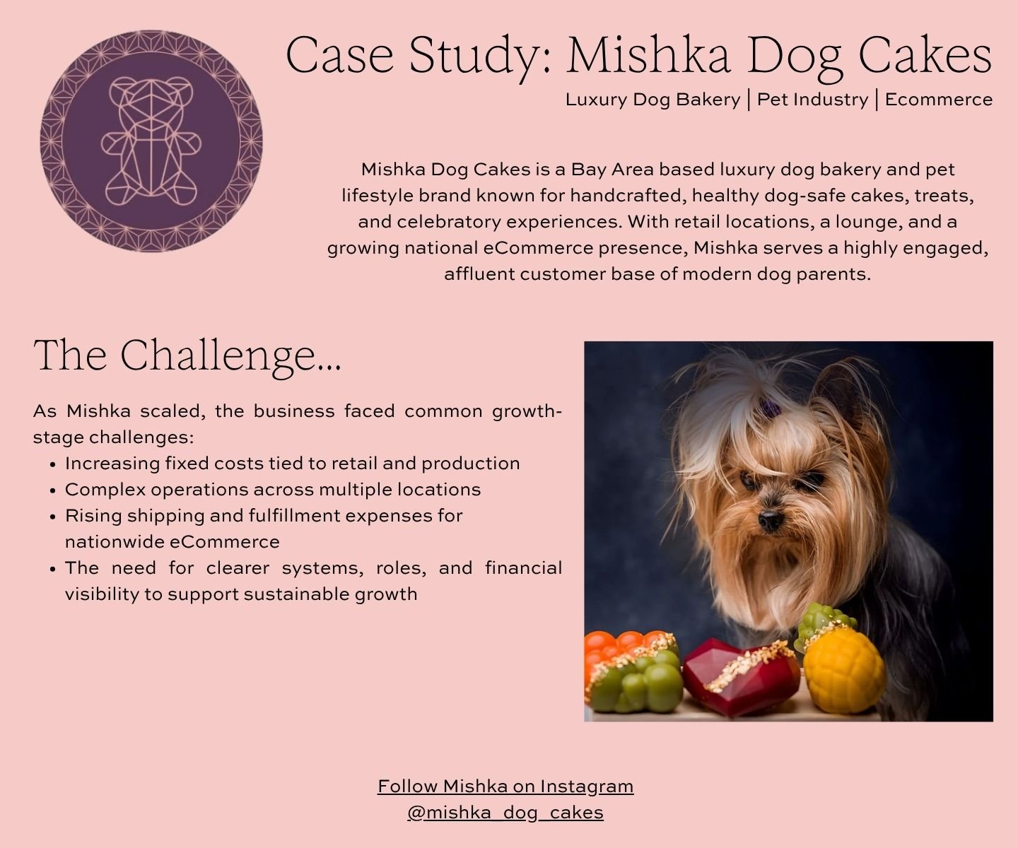 Mishka Dog Cakes Case Study