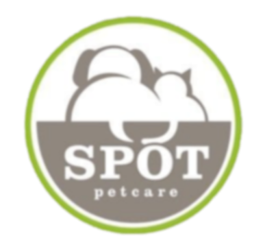 Spot Pet Care Case Study